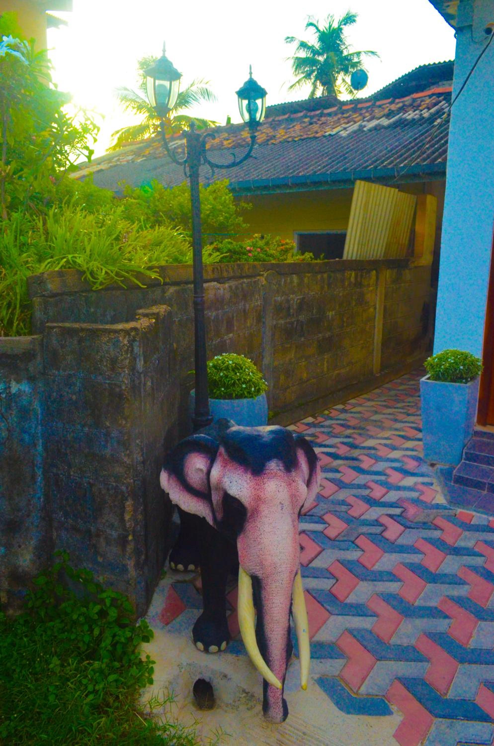 Photo 52