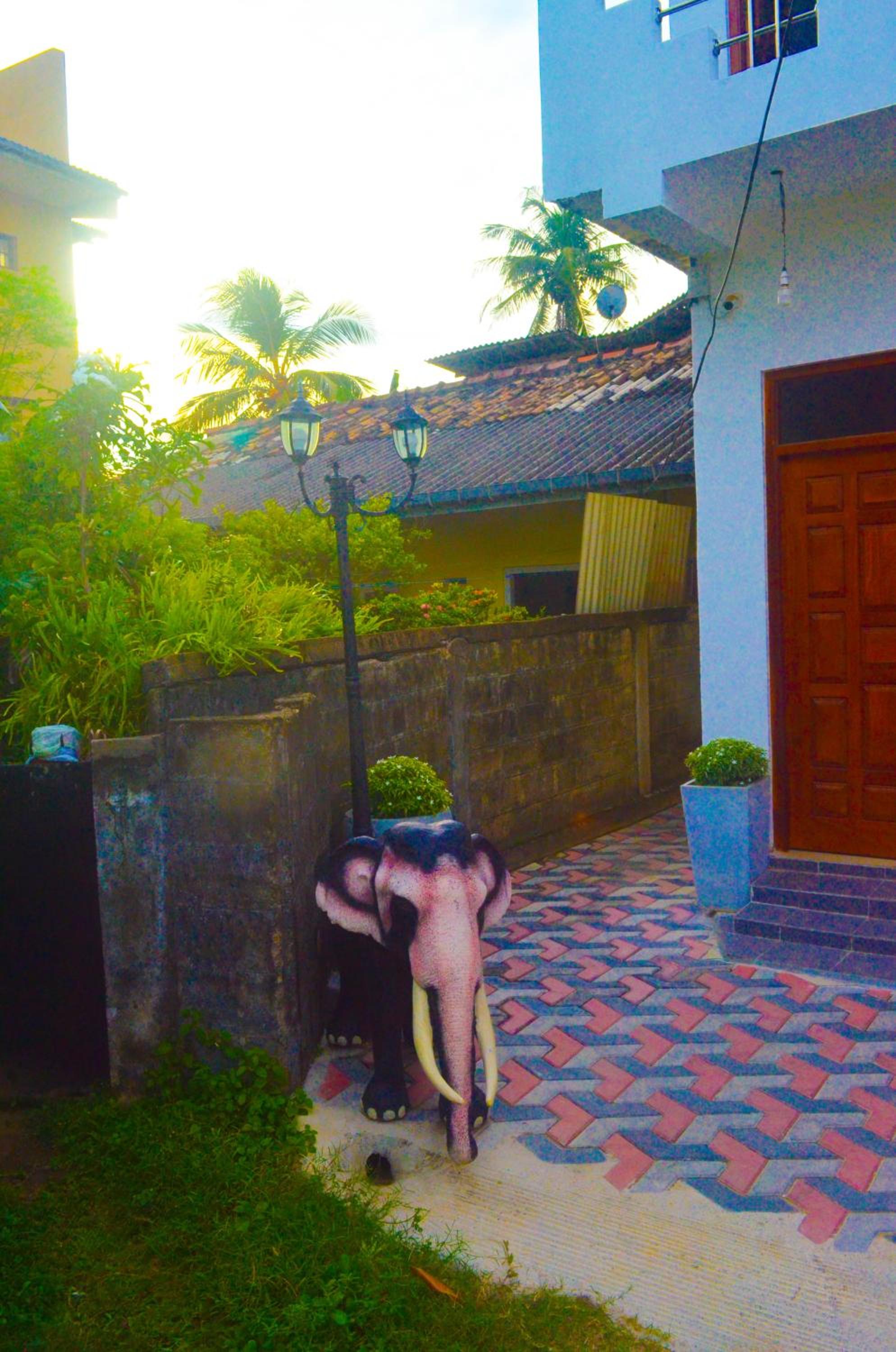 Photo 149