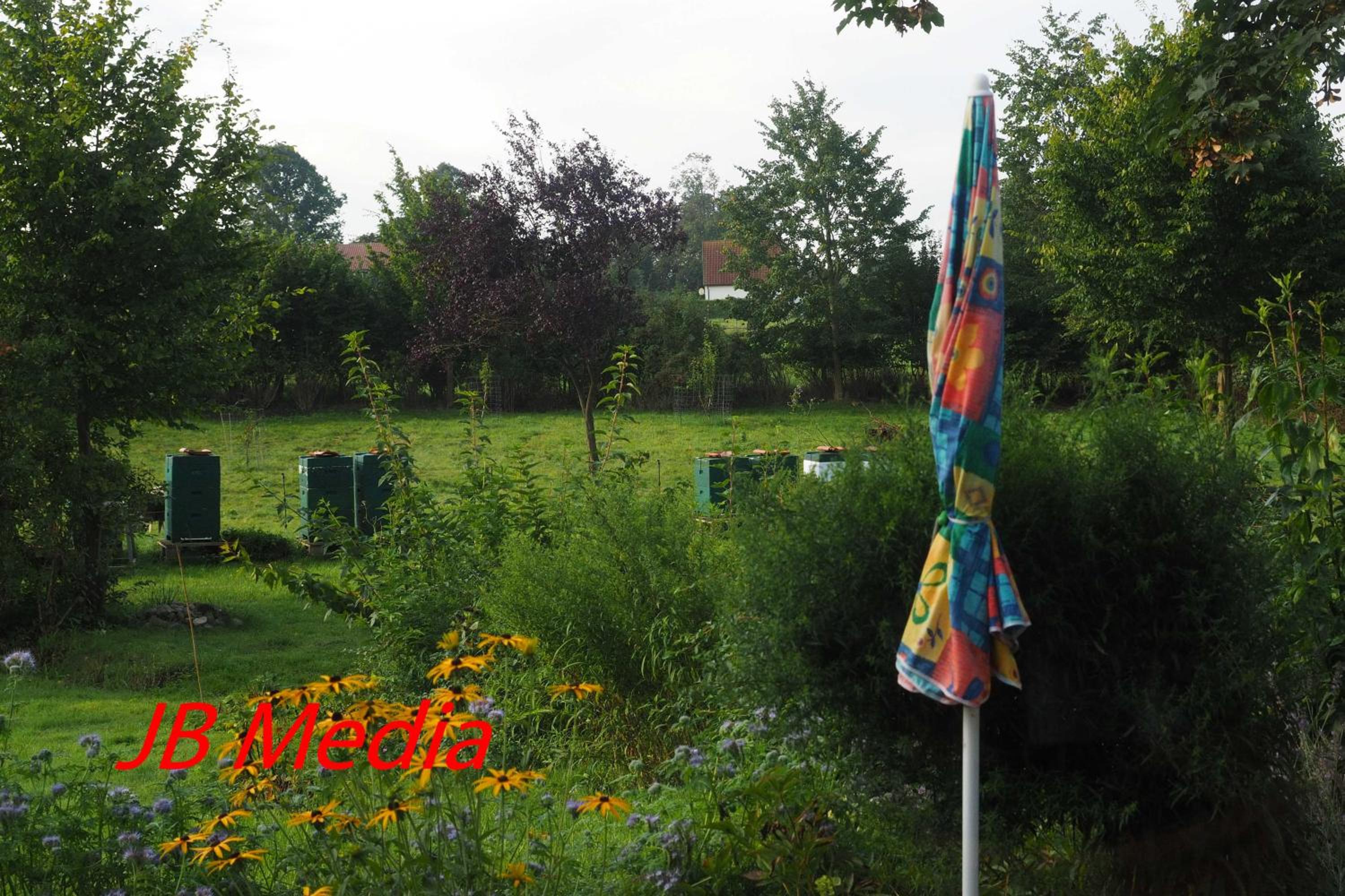 Photo 25