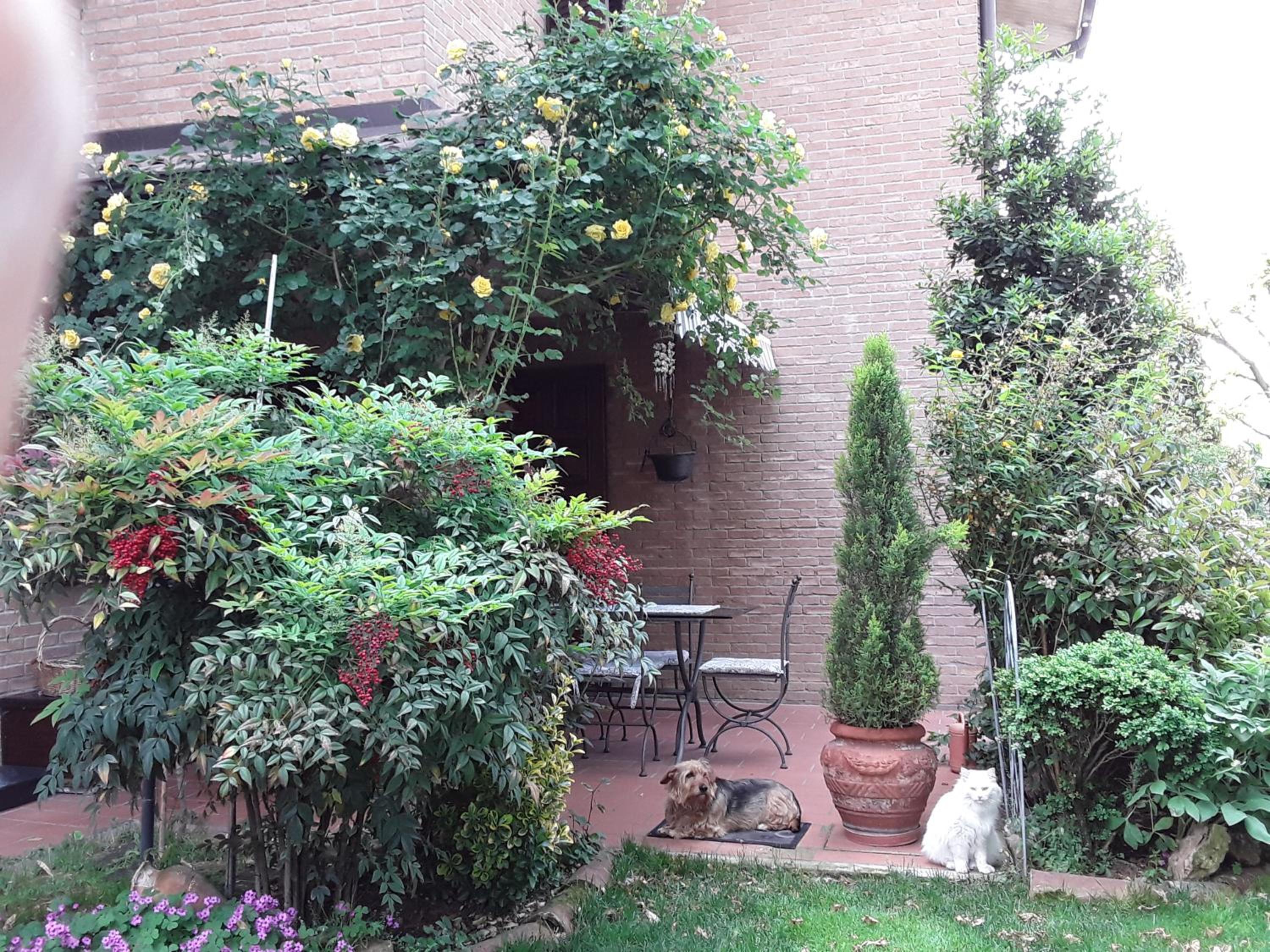 Photo 27