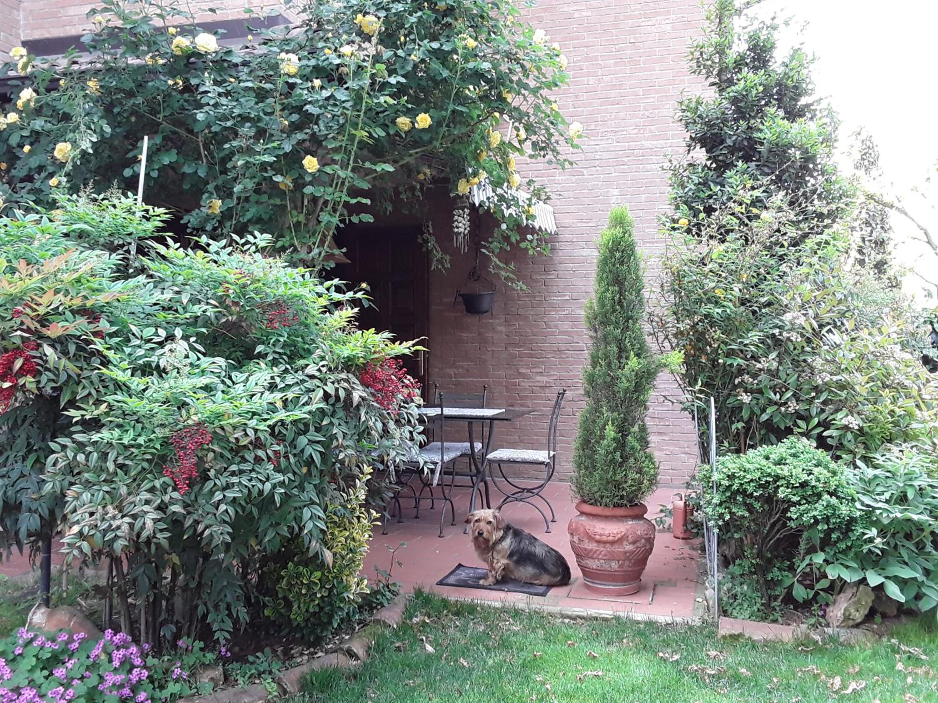Photo 32
