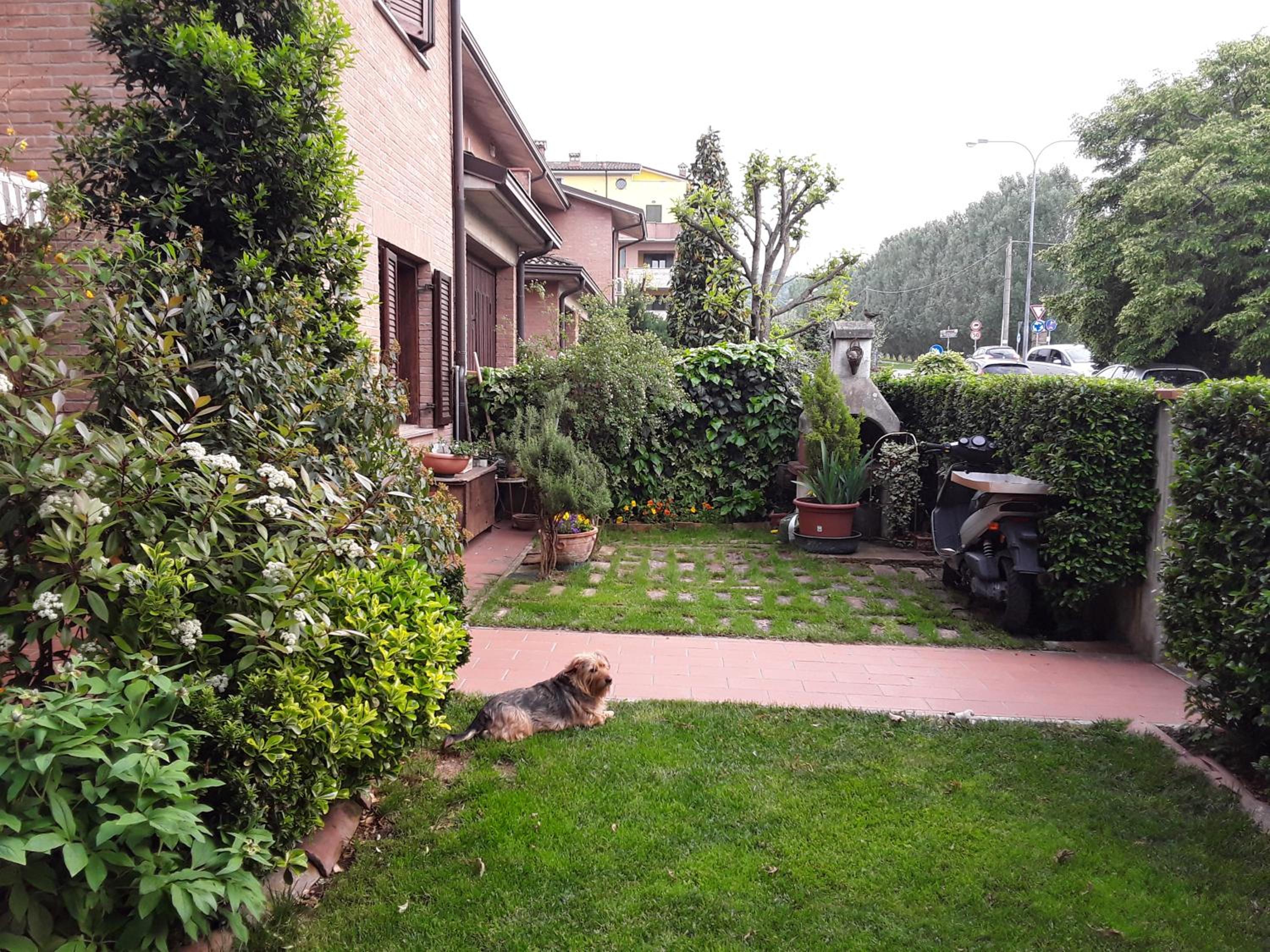 Photo 25