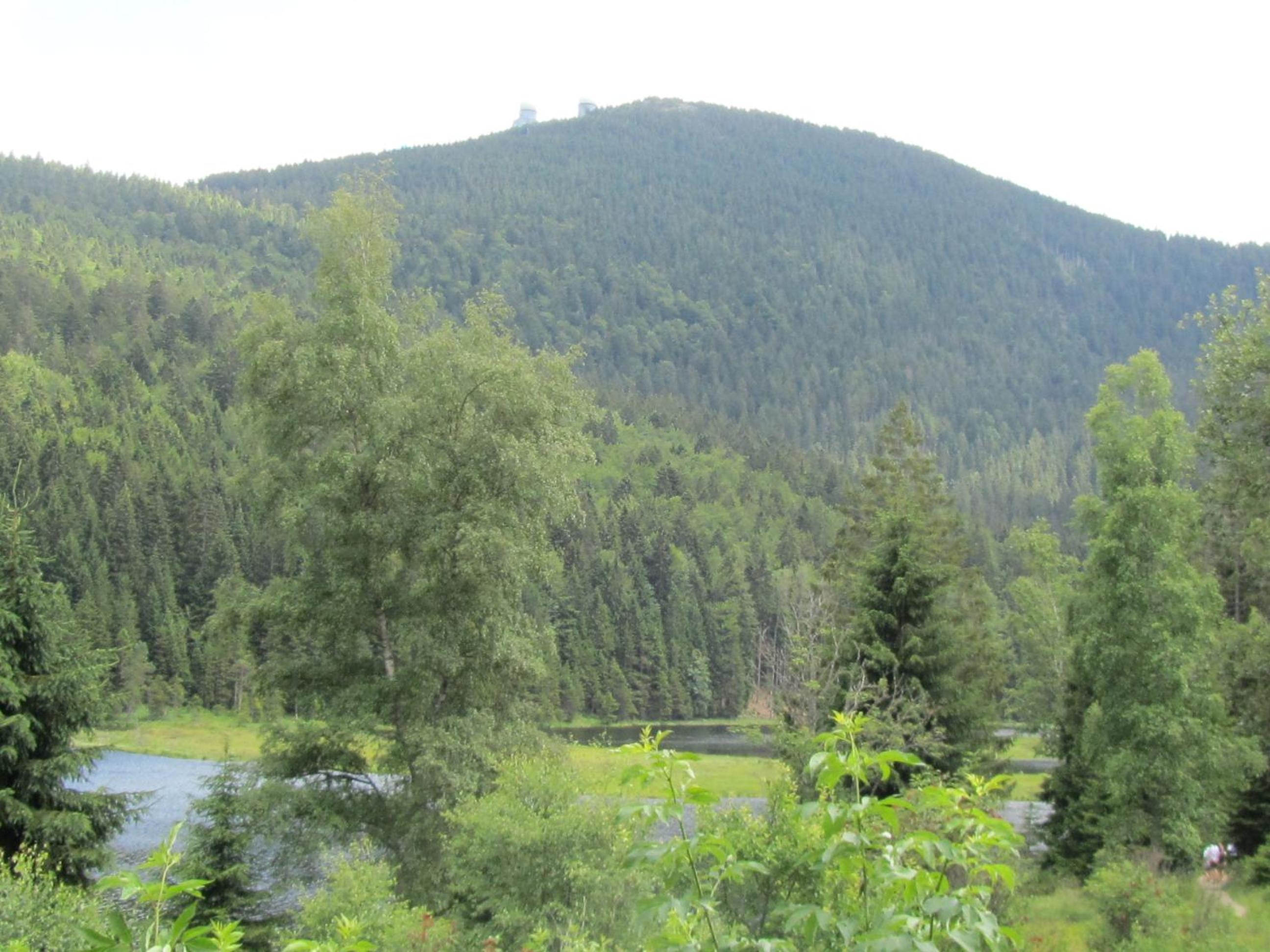Ferienhaus Zopfhäusl
