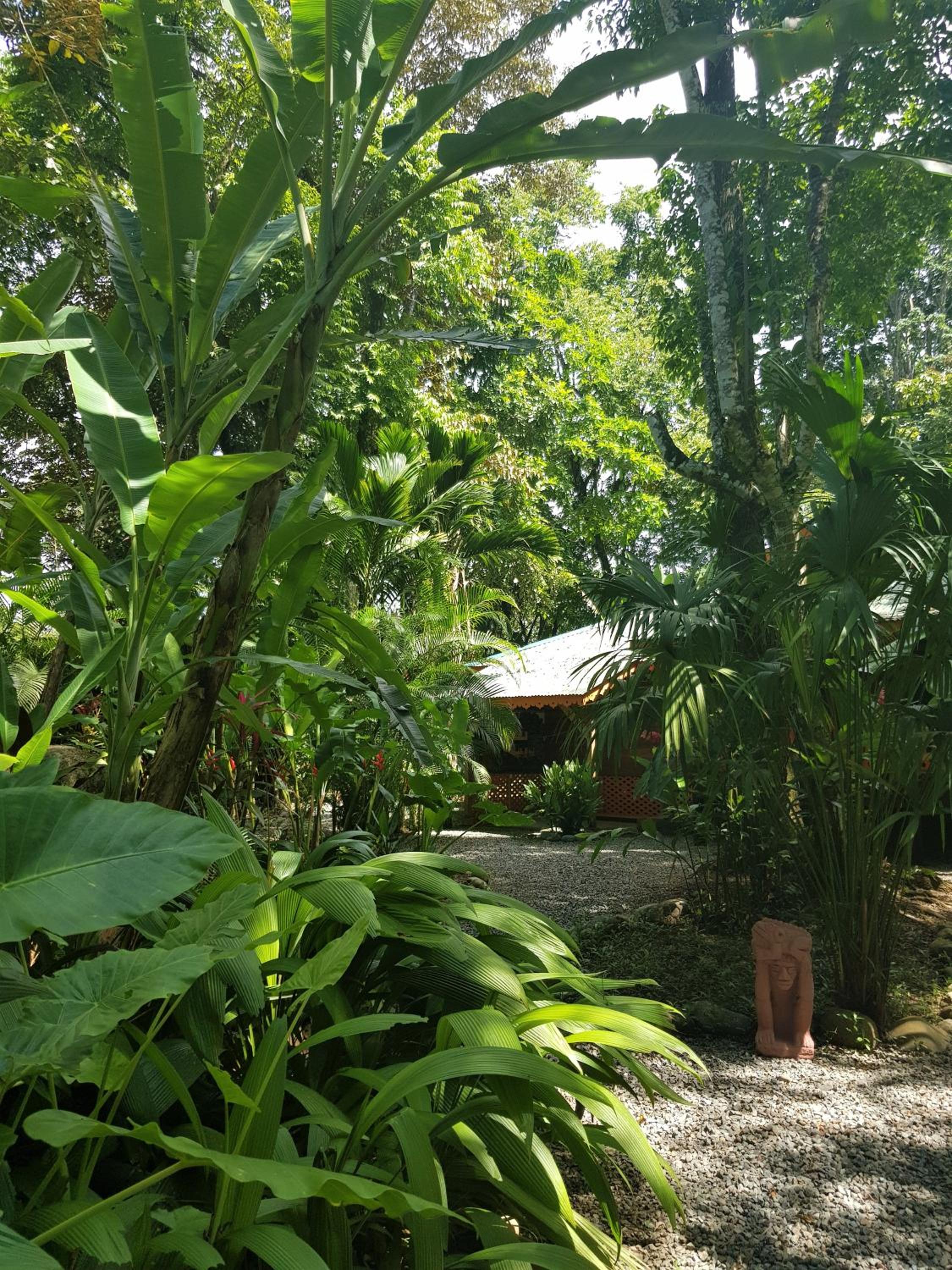 El Jardin de Playa Negra