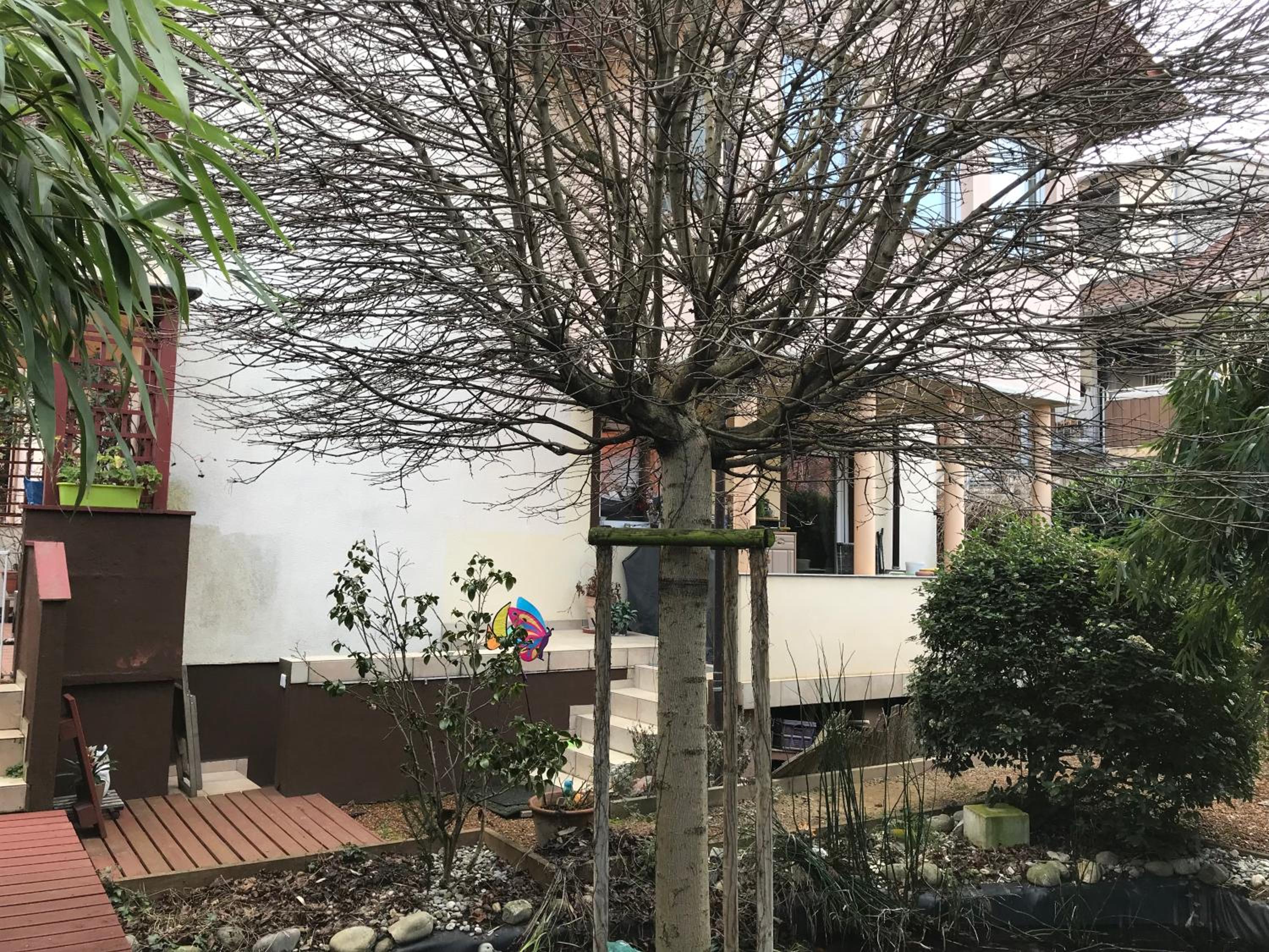 Idyllische und ruhig gelegene 1ZKB Wohnung in Ludwigshafen am Rhein
