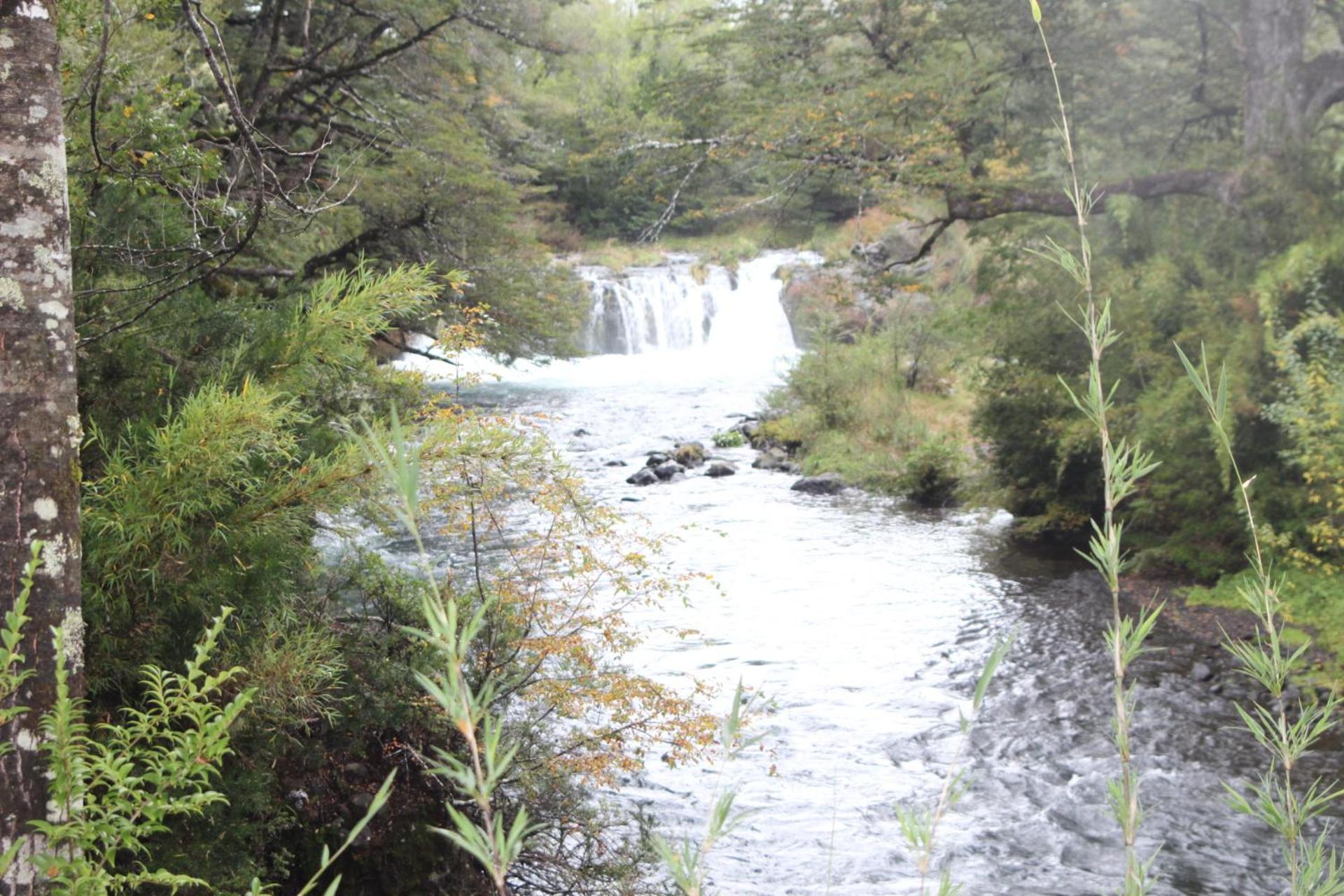 El Rincon de la Olguita