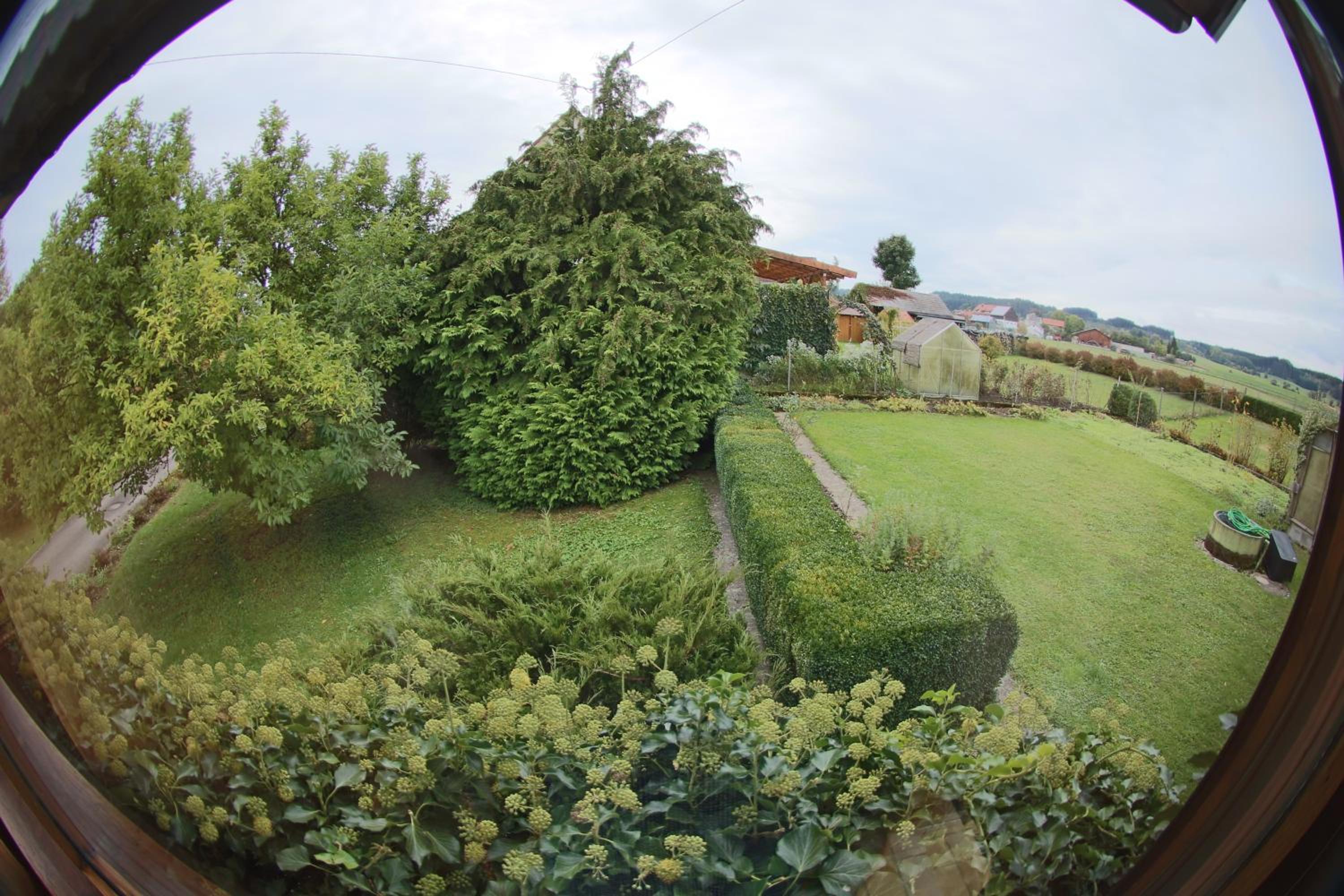 Ferienhaus an der Iller - Property Image 33