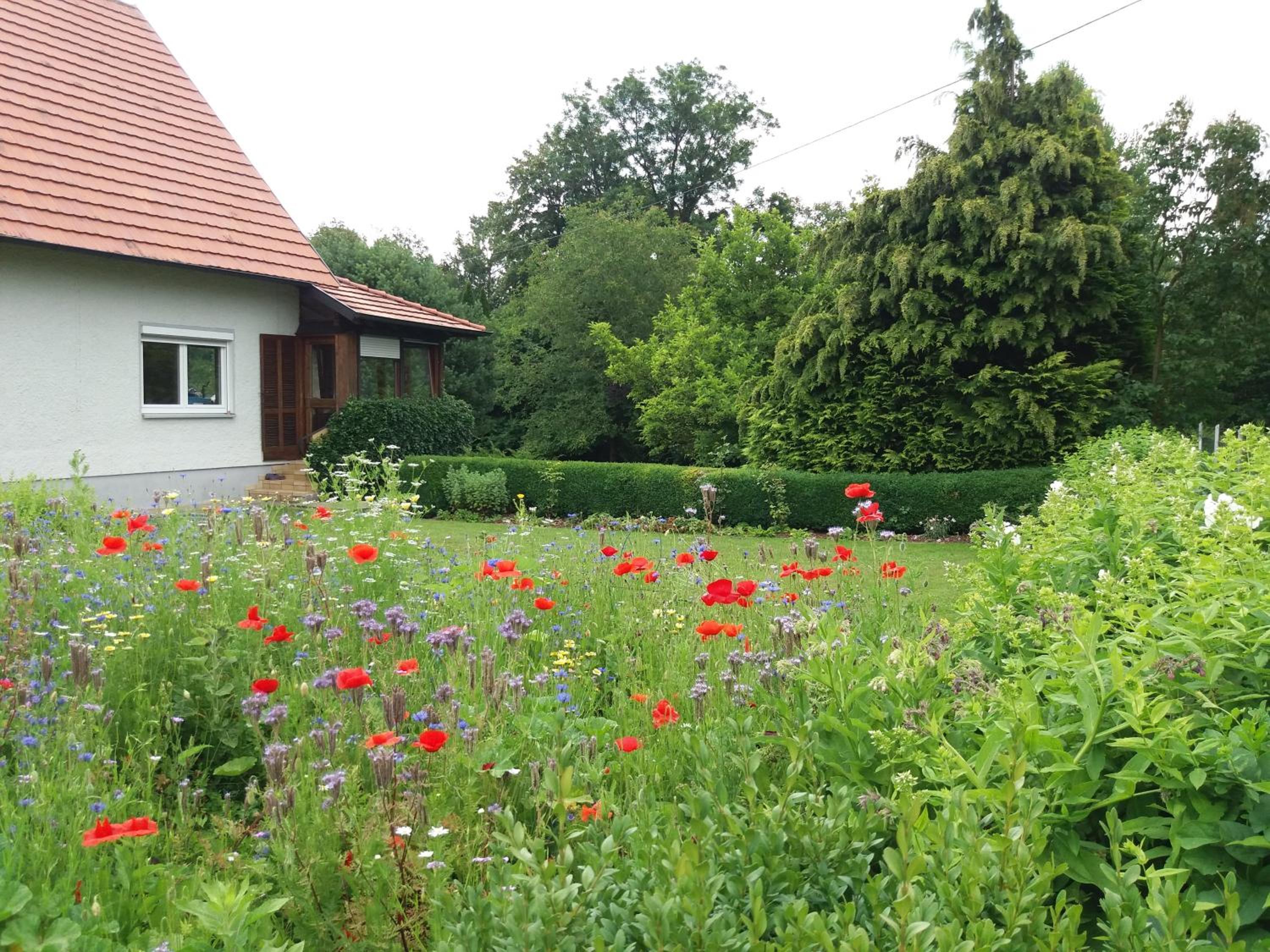 Ferienhaus an der Iller - Property Image 27