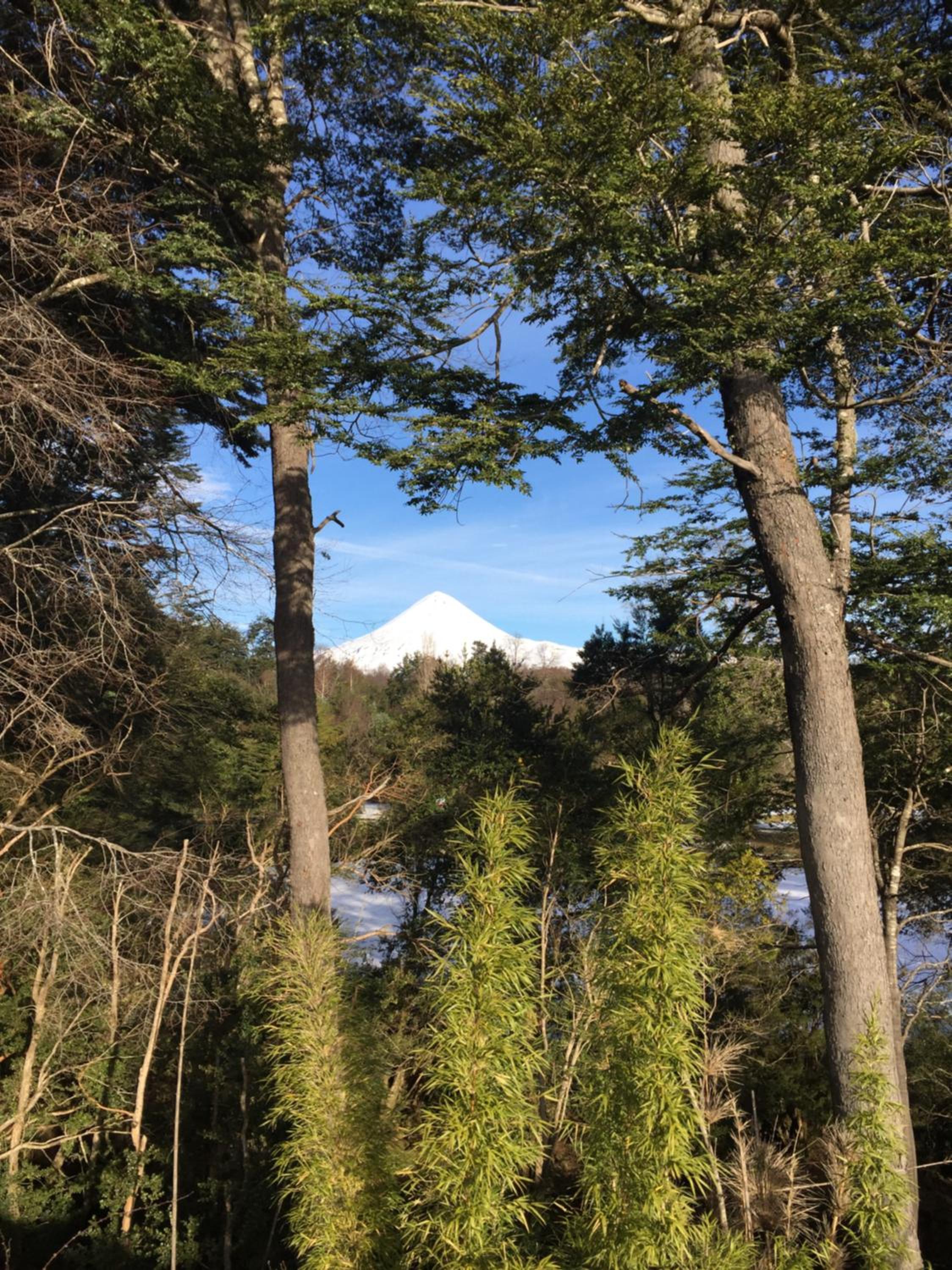 El Rincon de la Olguita