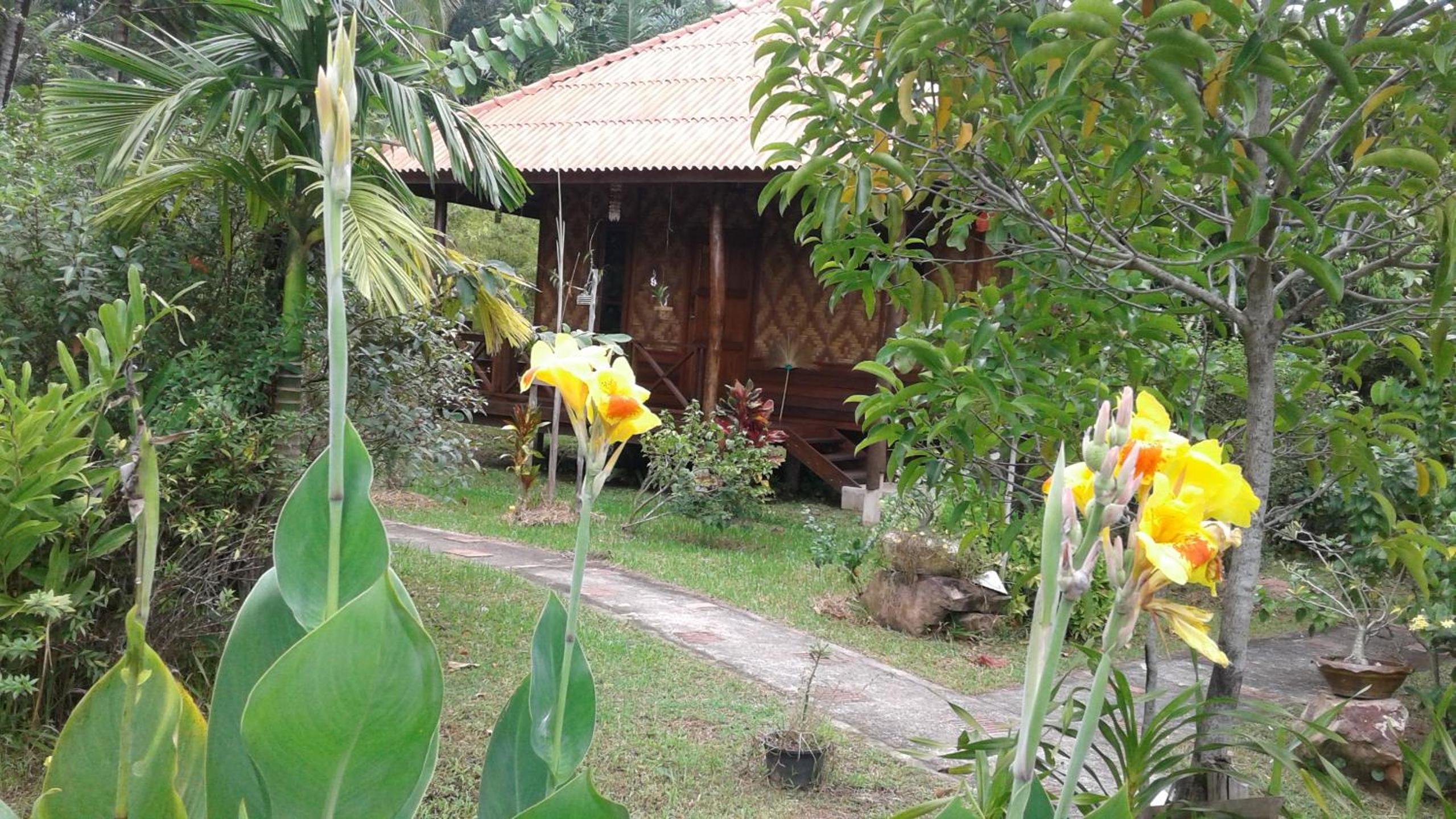 Photo 27