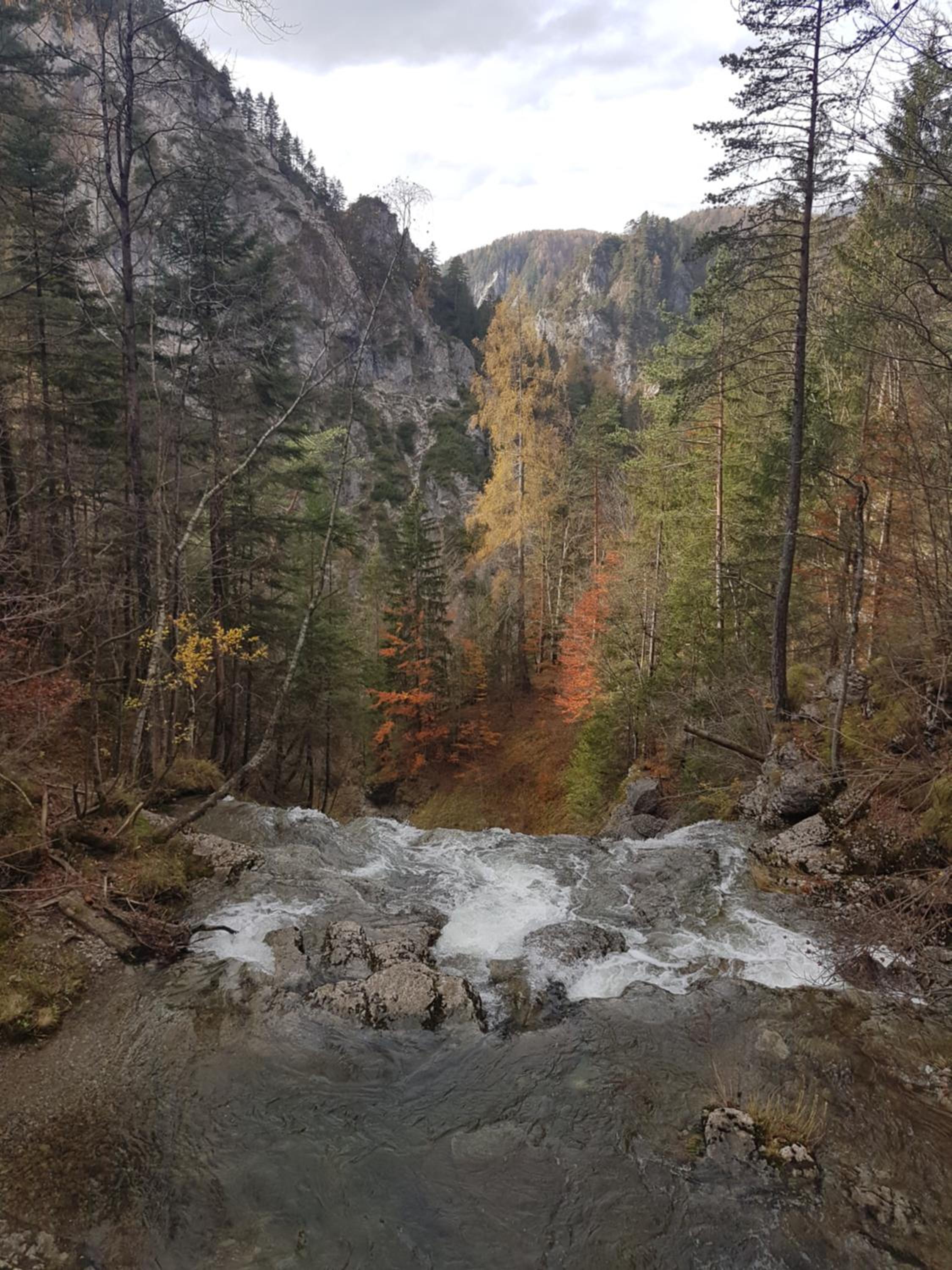 Apartment Mariazell Bürgeralpe