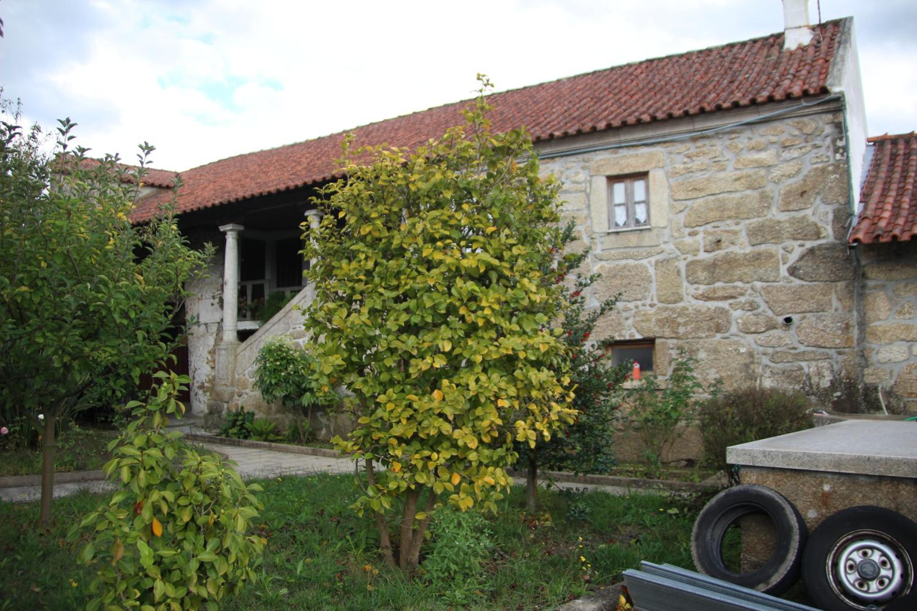 Photo 51