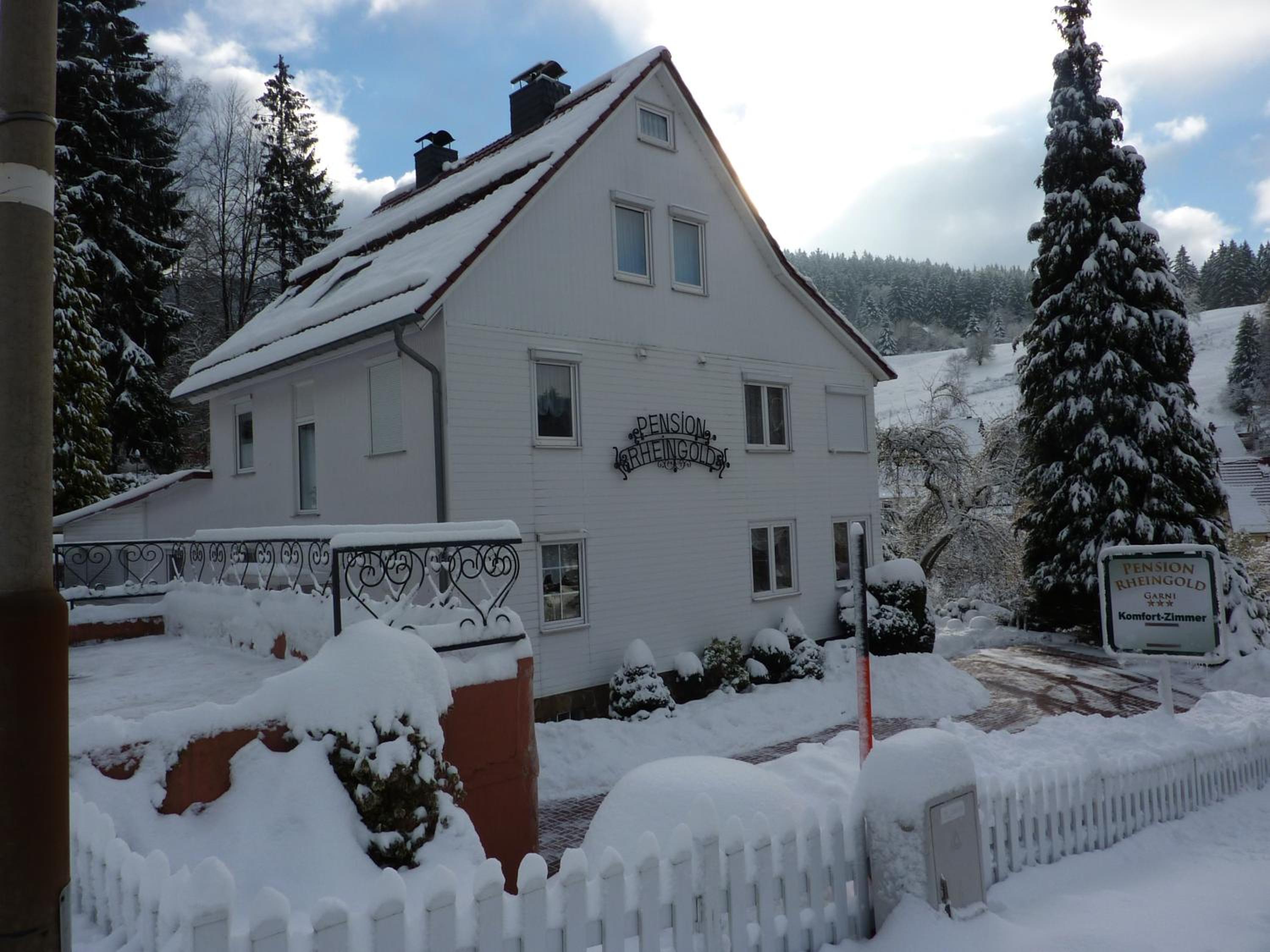 Pension Rheingold Garni