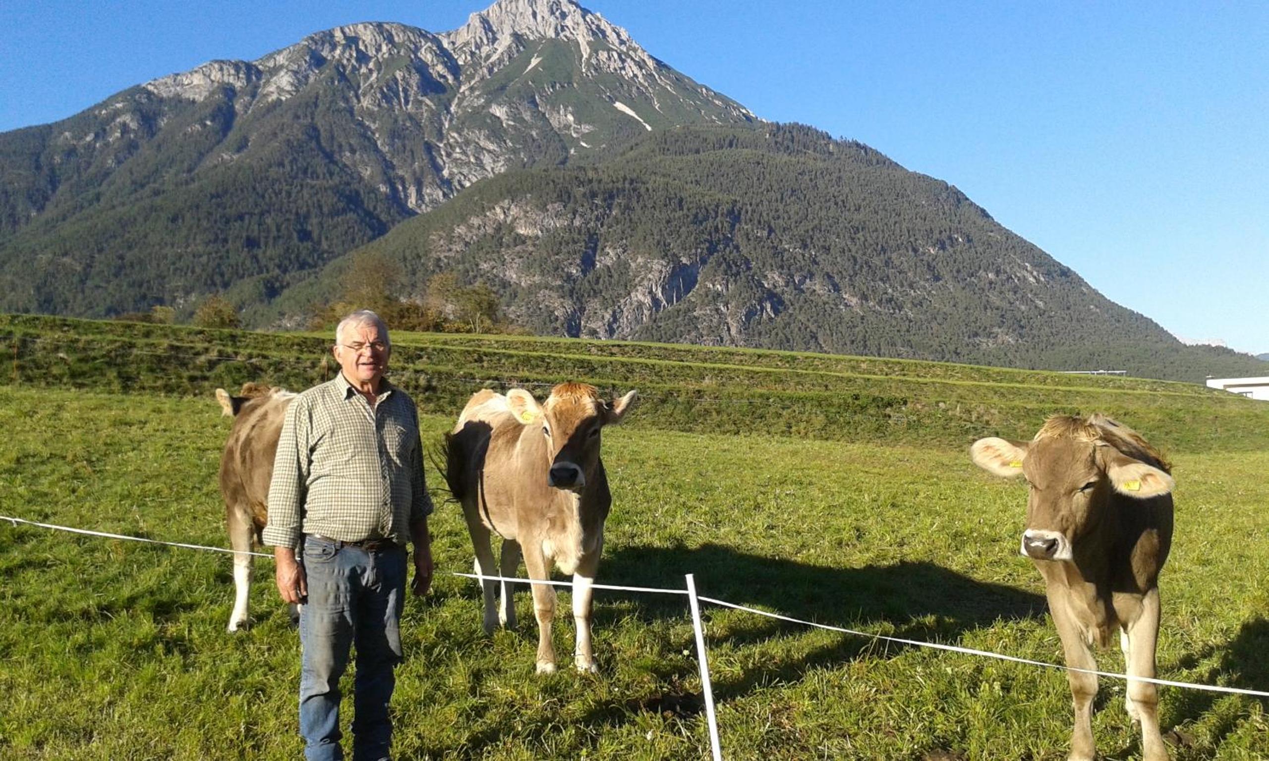Ferienwohnungen Krismer