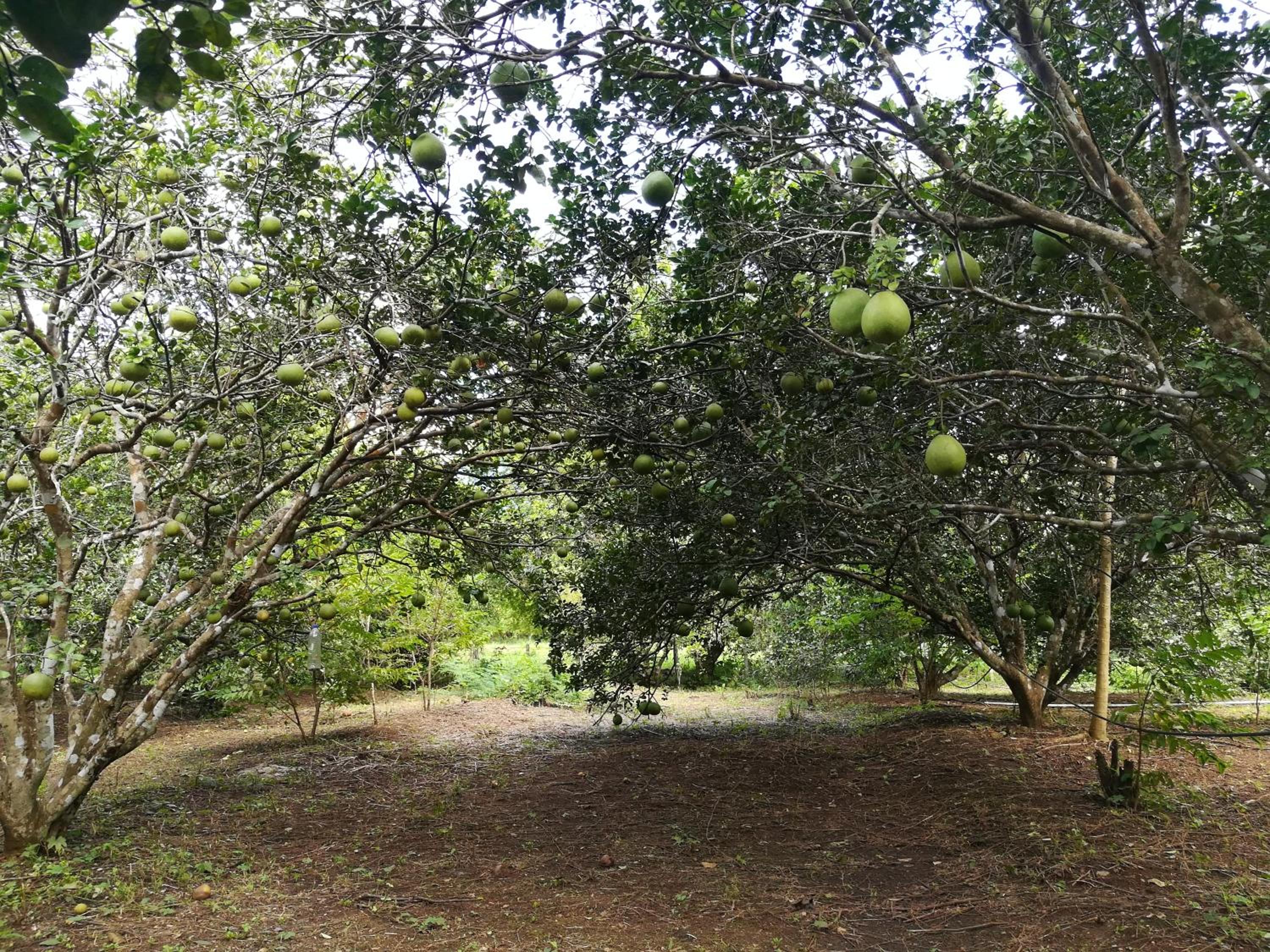 Photo 26