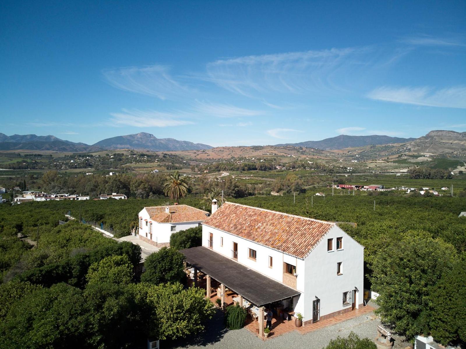 Finca Limón photo 4