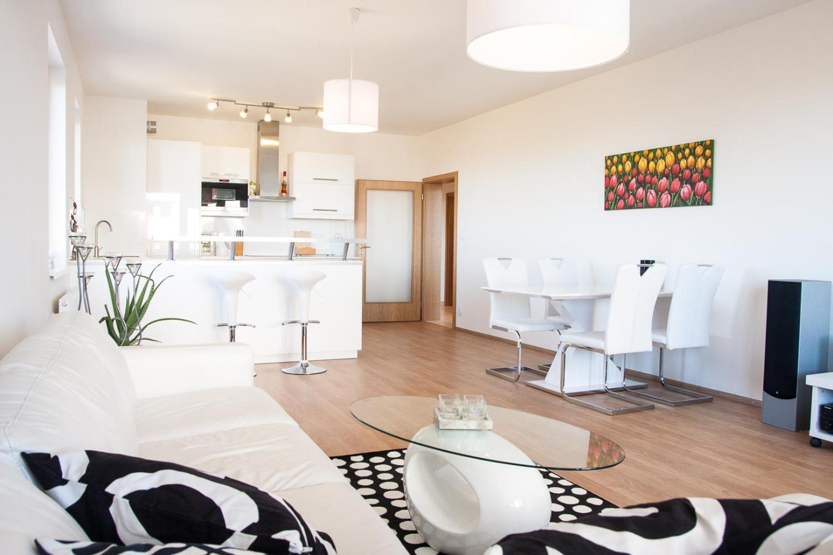 Spacious 3- rooms appartment with two terraces