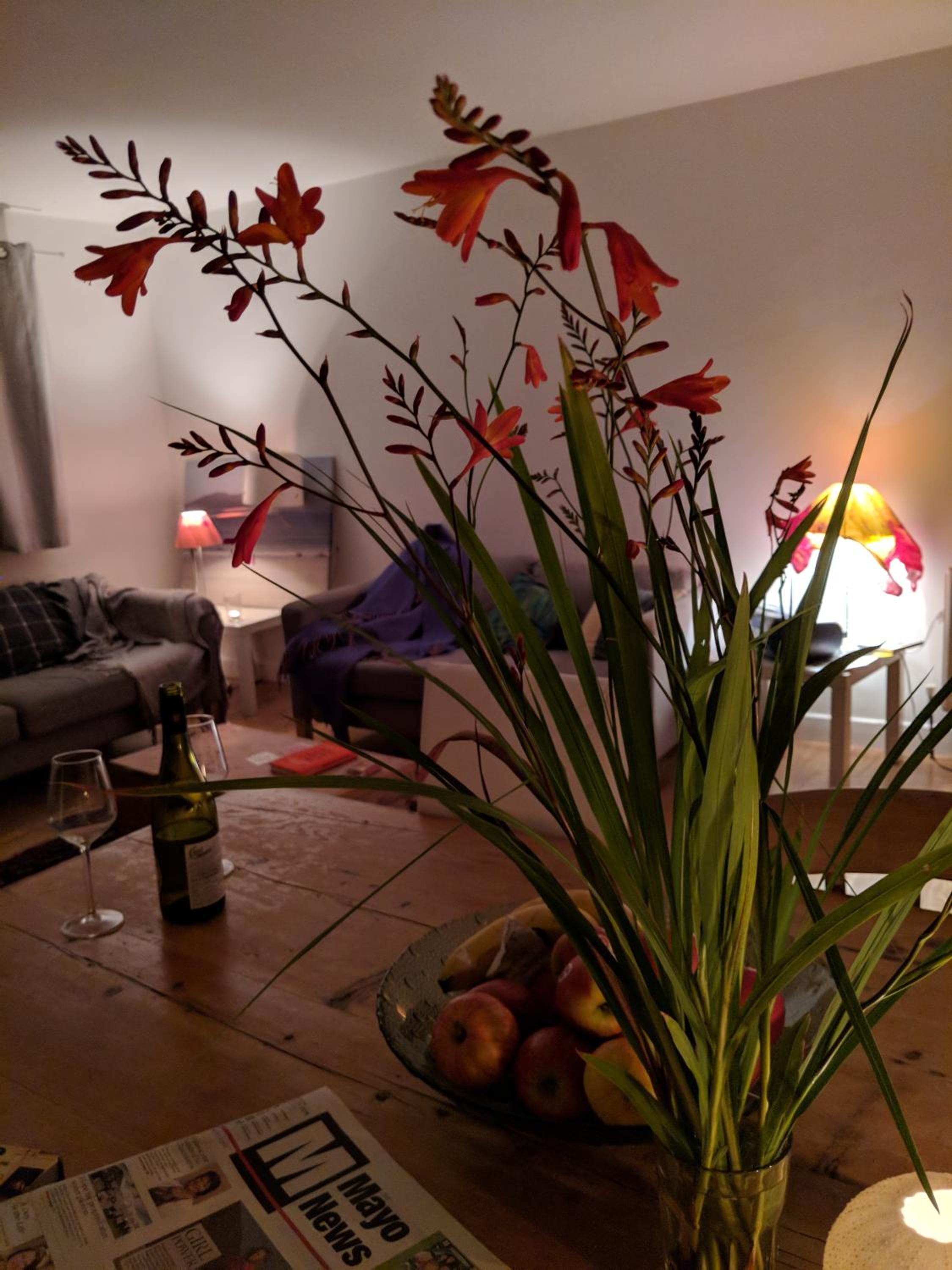Photo 7