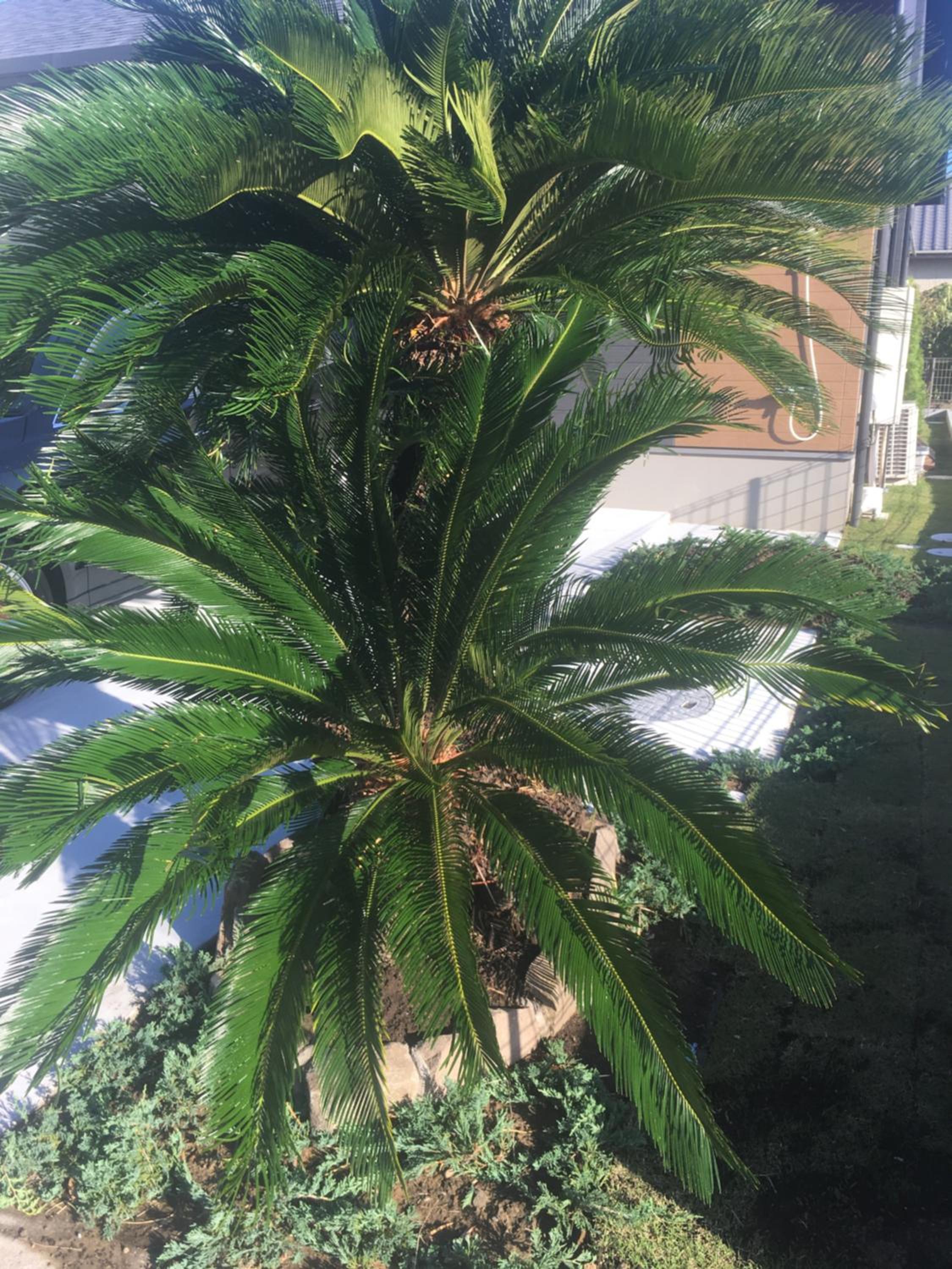 Photo 19