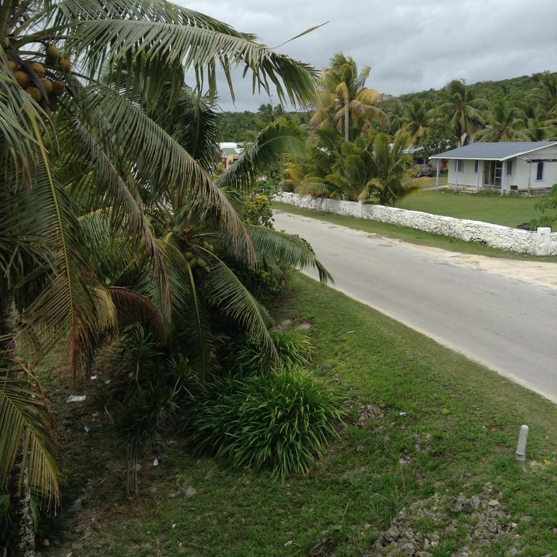 Photo 19