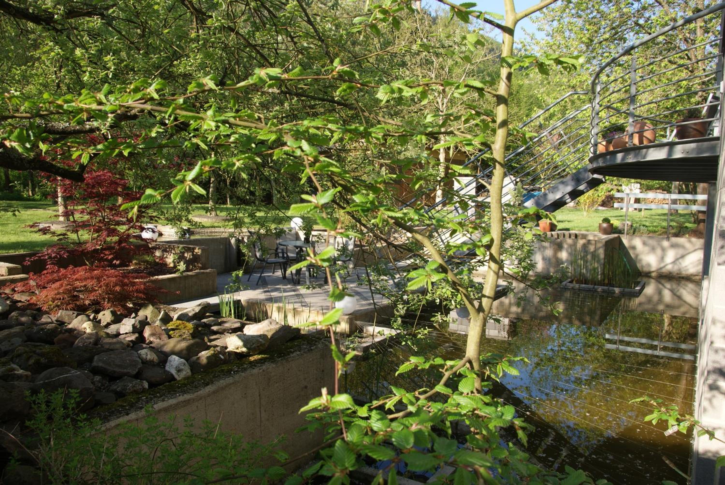 Photo 45
