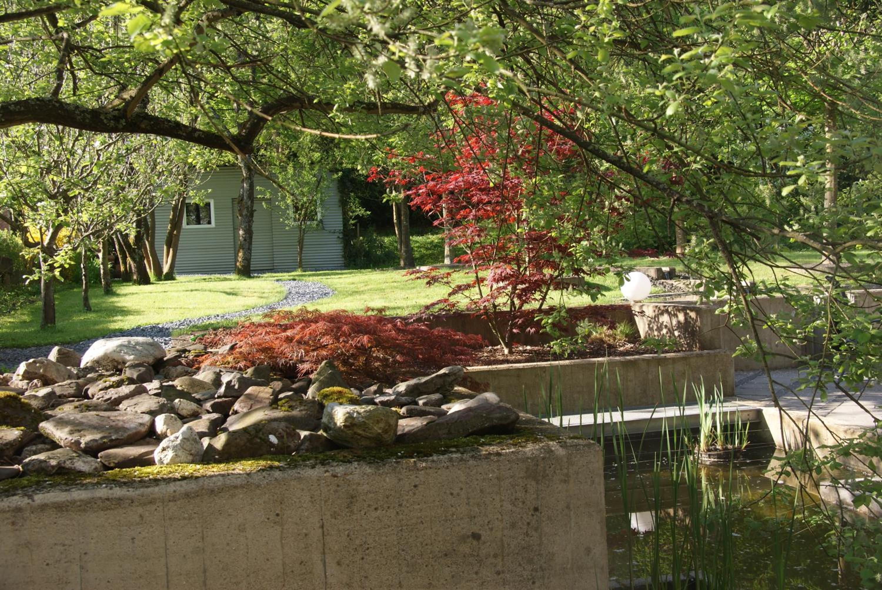 Photo 46