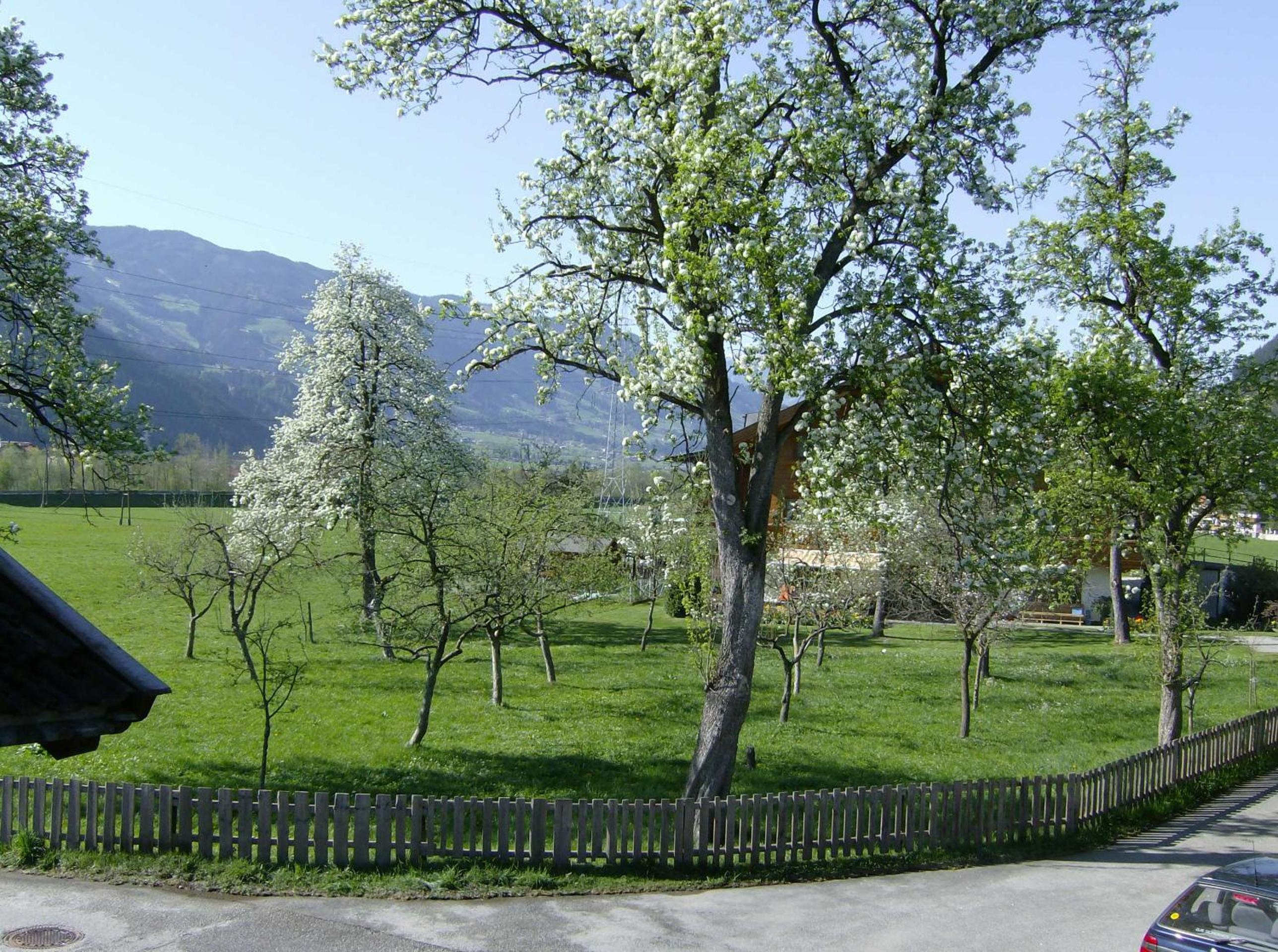 Landhaus Gabriela