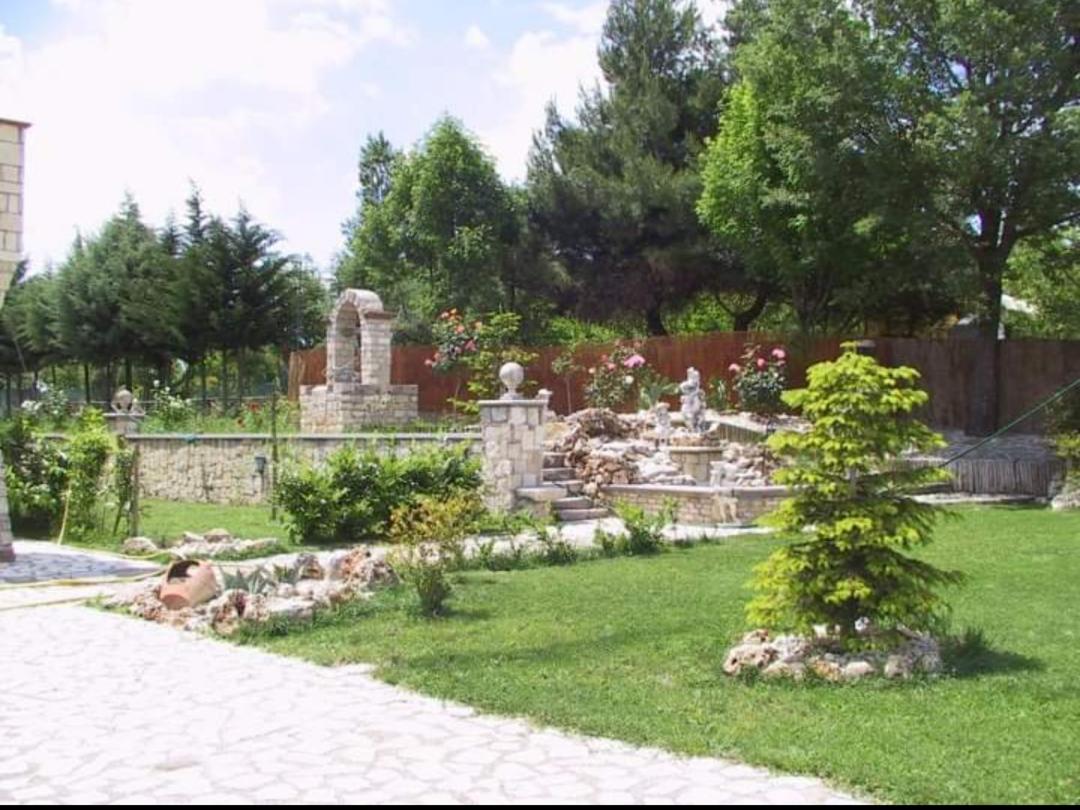 Photo 23