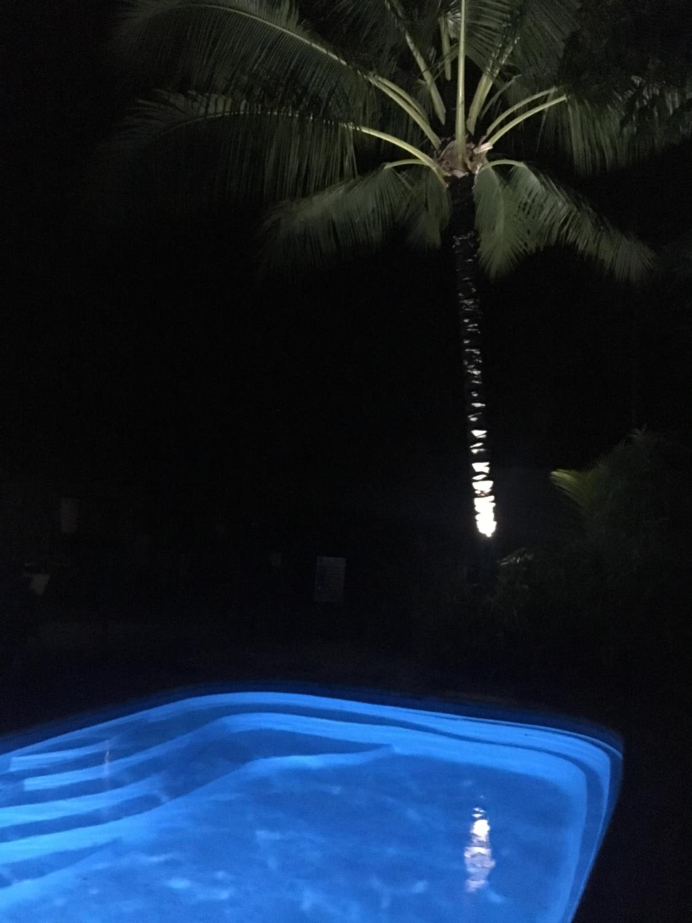 Heated Pool & Tropical Private Open Space