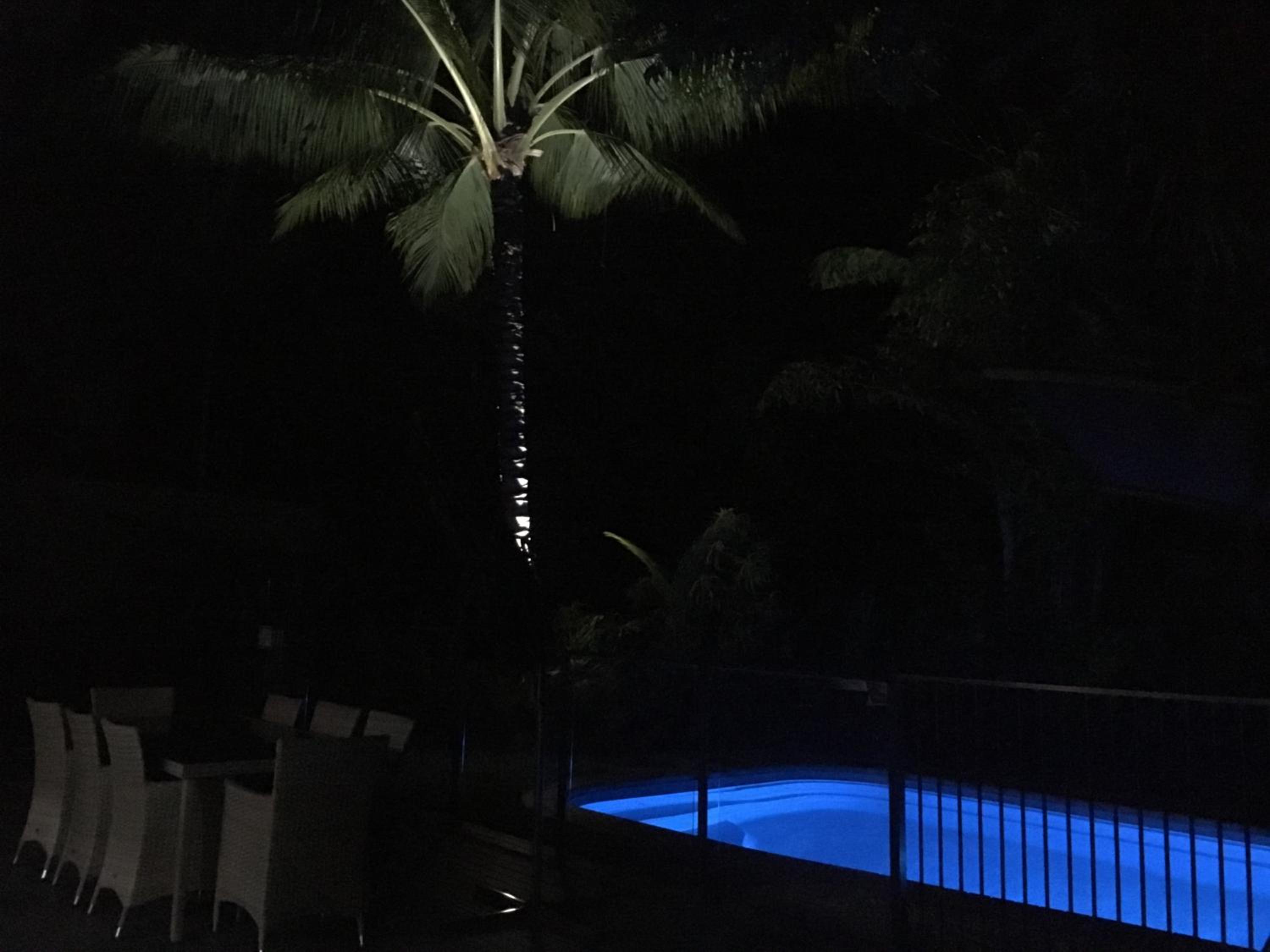 Heated Pool & Tropical Private Open Space
