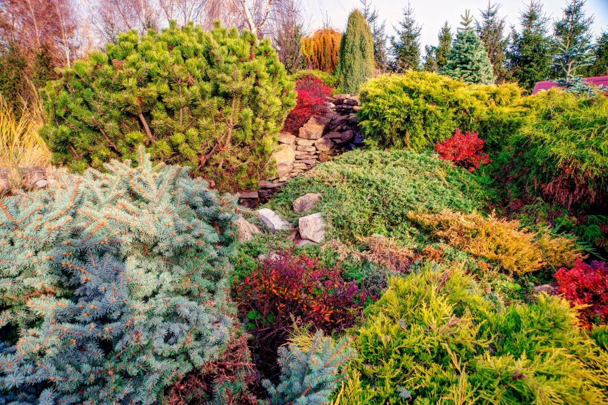 garden