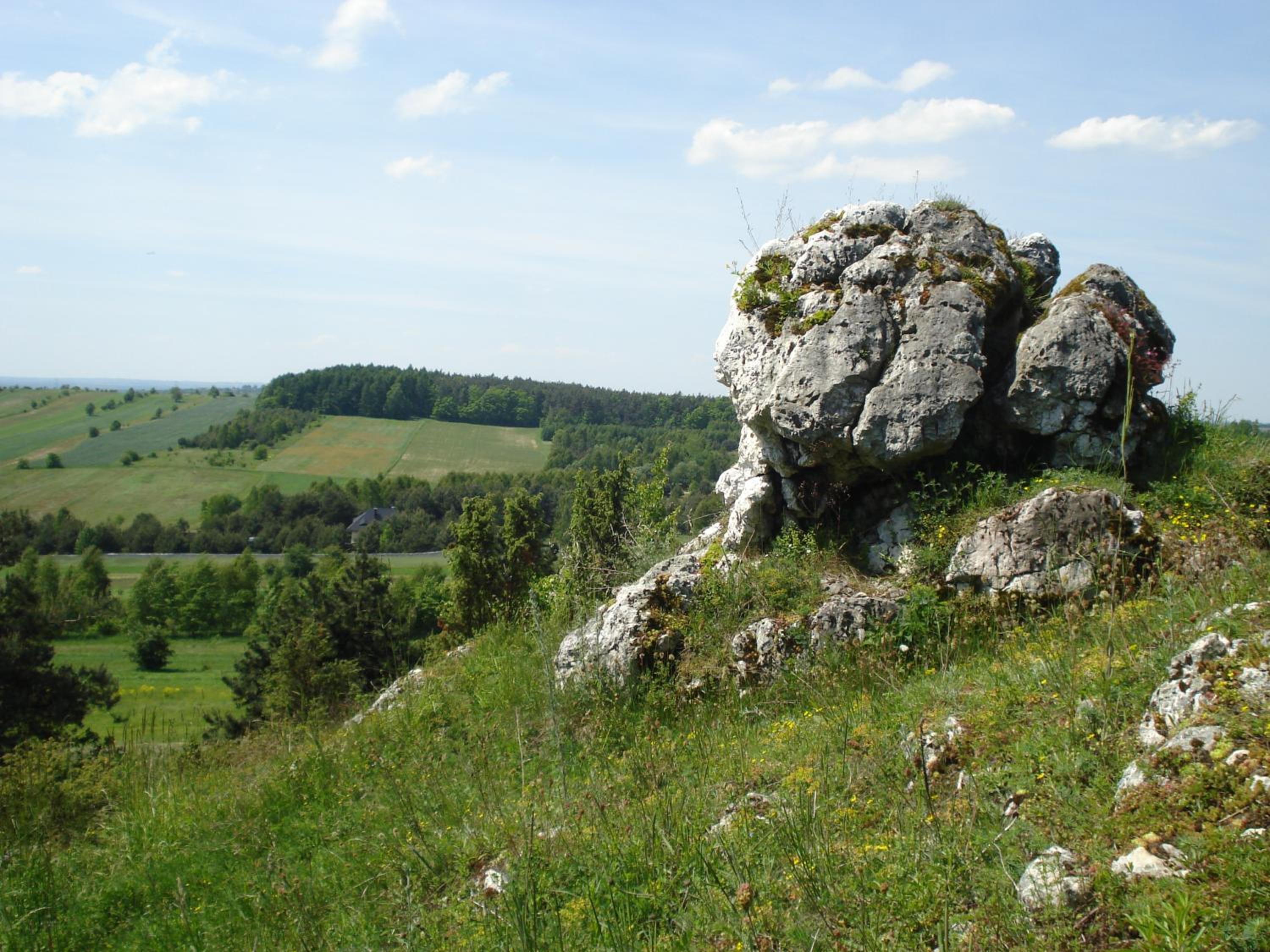 Photo 29