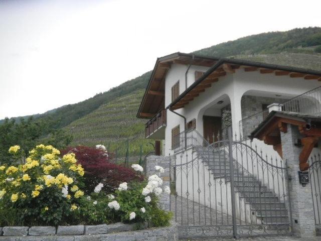 APPARTAMENTO Villa Isabella view 5