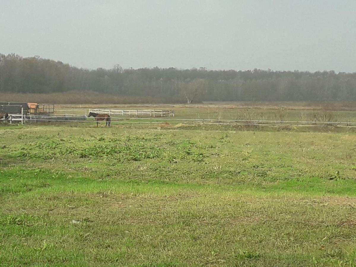 Old Oak House view 3