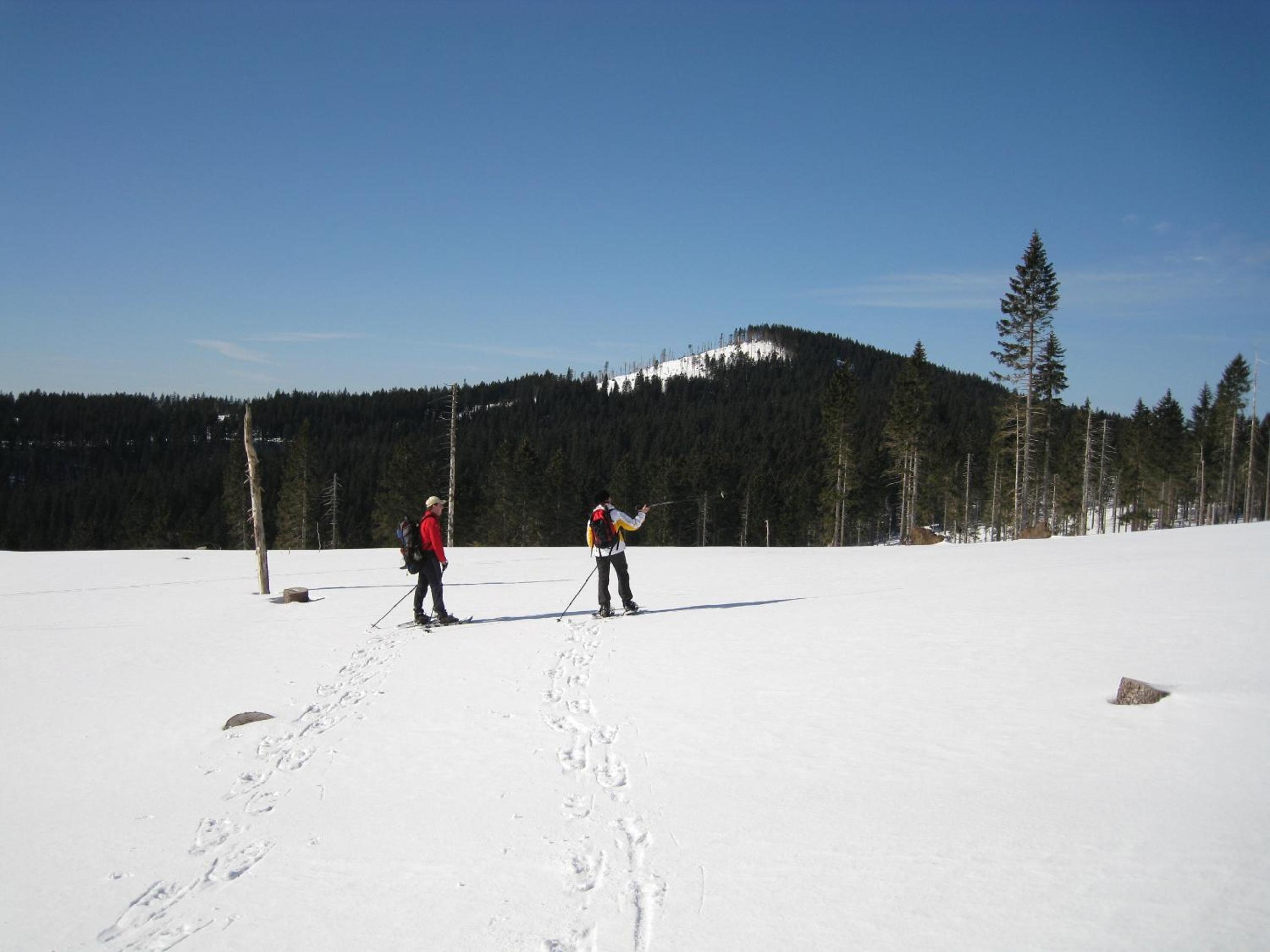 Photo 22