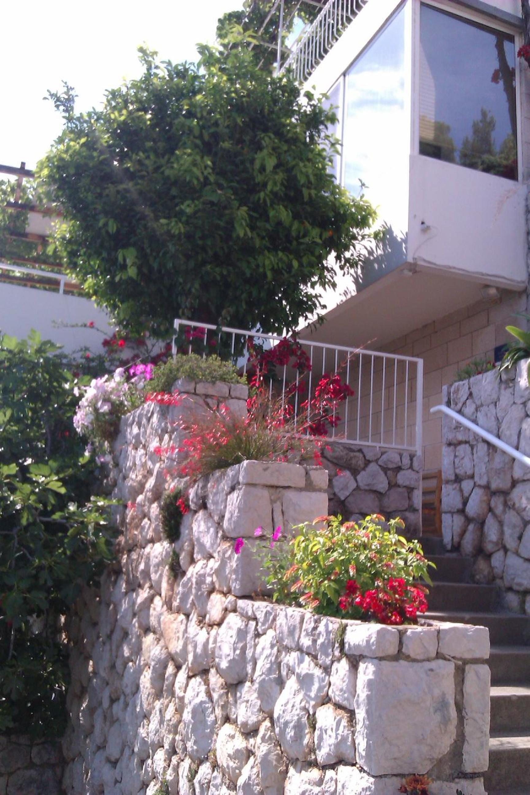 Apartments Sv.Jakov