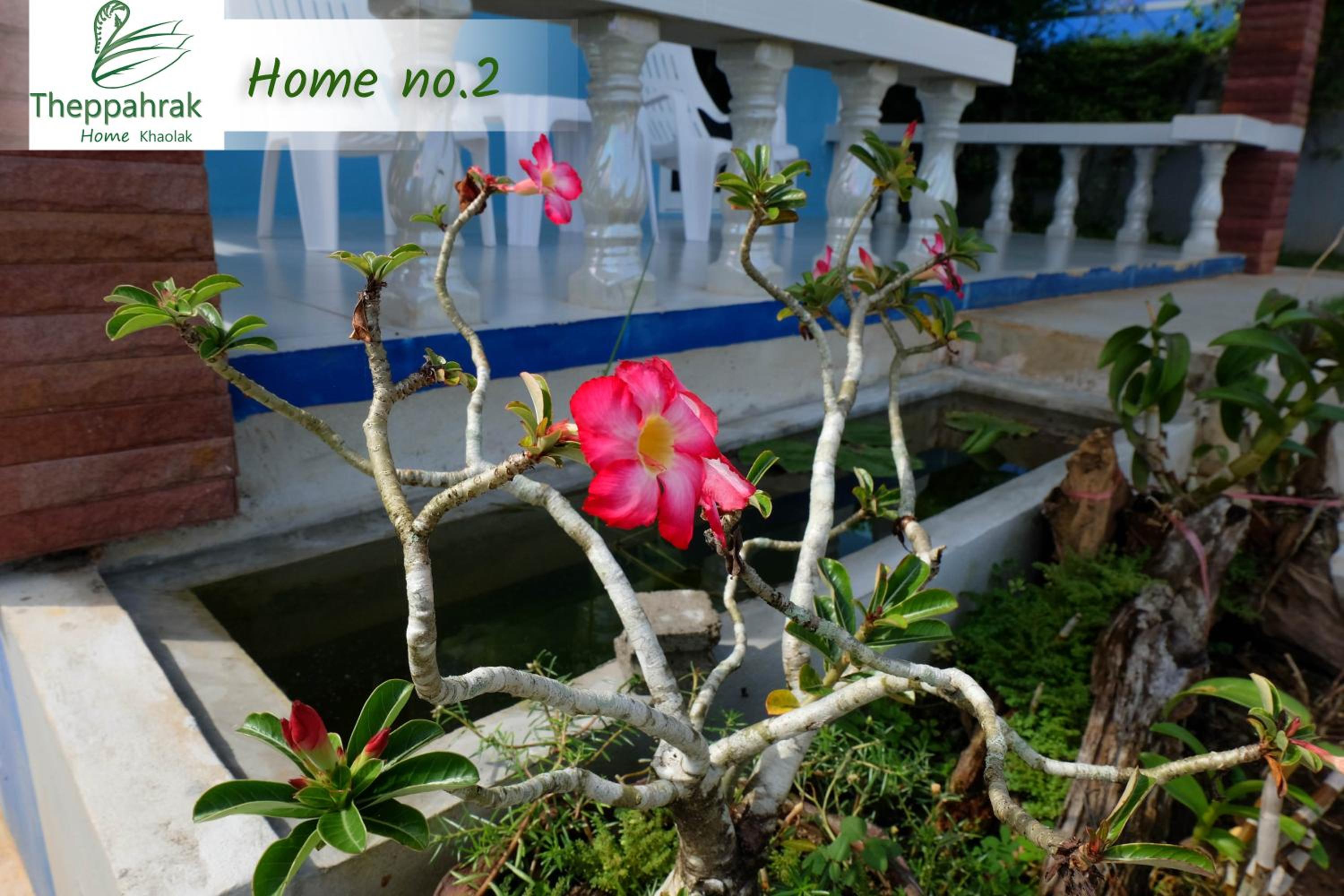 Photo 49