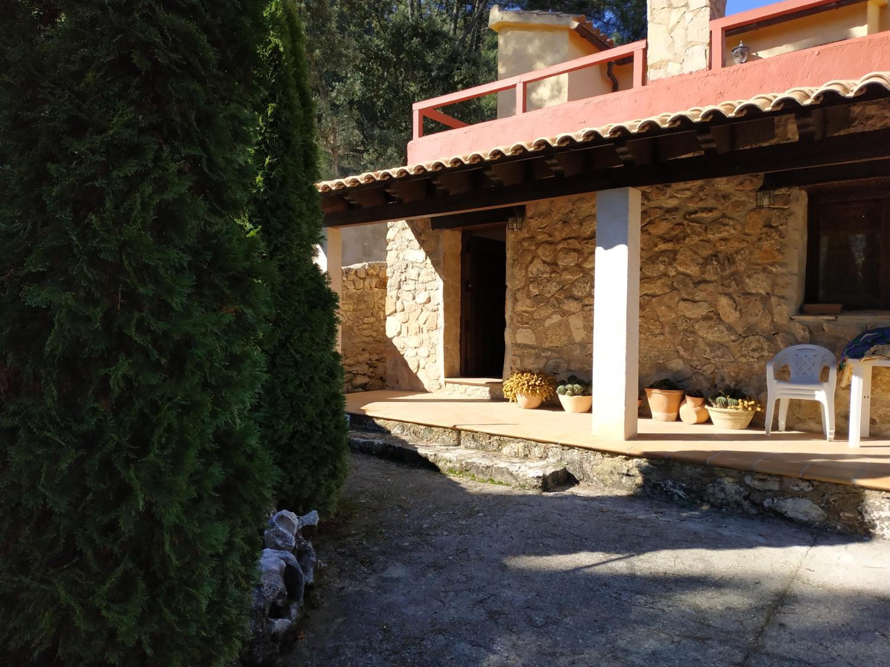 Photo 8