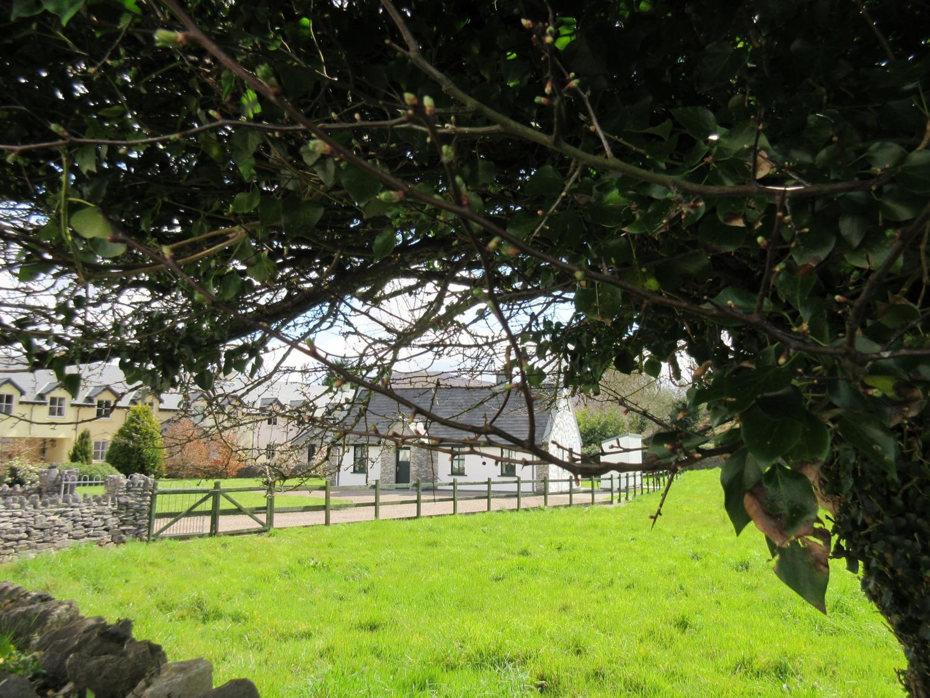 Photo 26