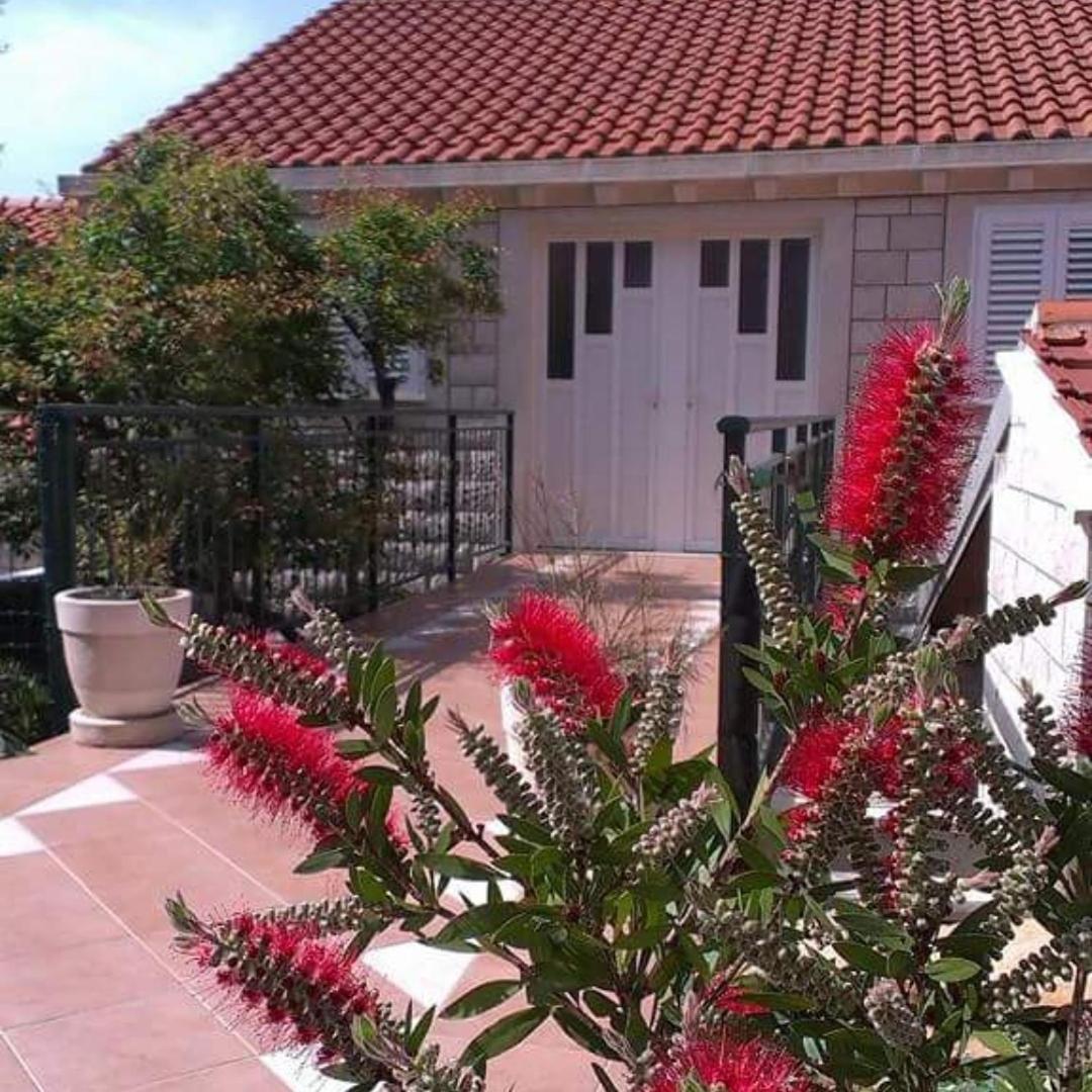 Apartments Baltazar with Sea View&Jacuzzi