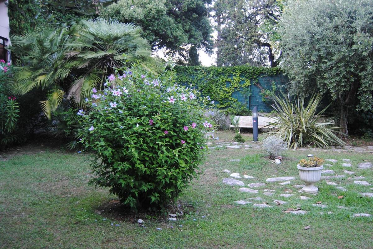 Les Palmiers
