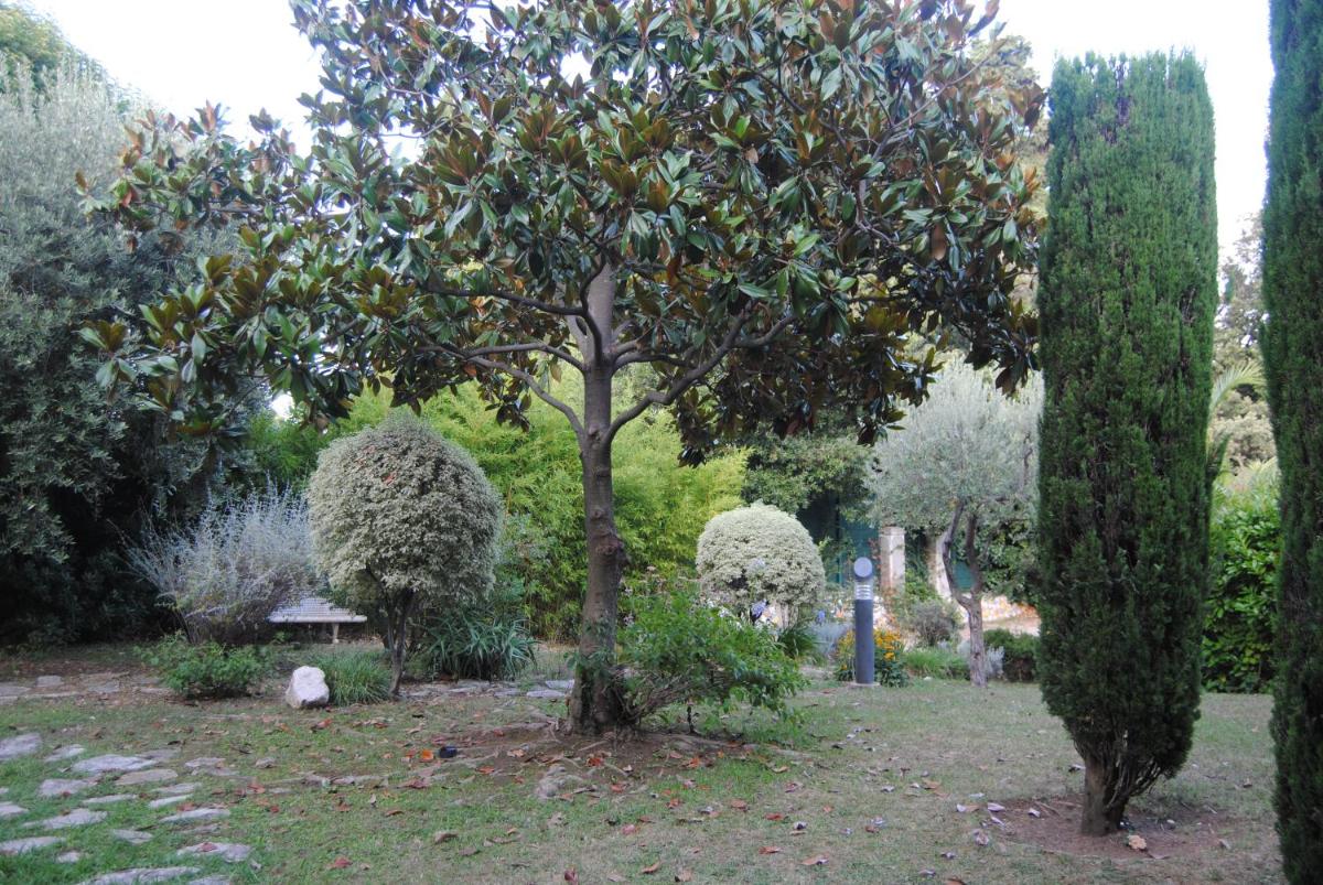Les Palmiers