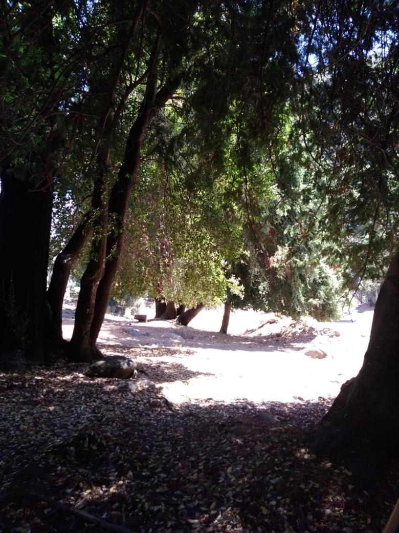 Photo 34