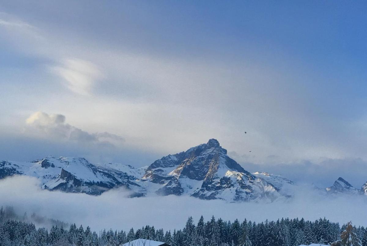 Mountain Chalet Amden