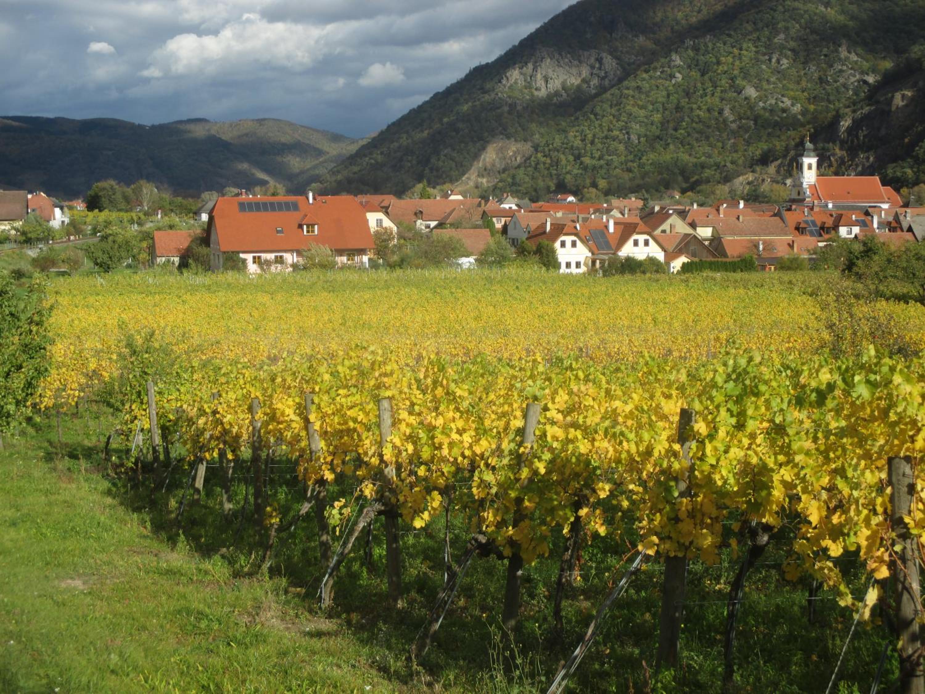 GästeHaus Rudolf u. Sandra DENK