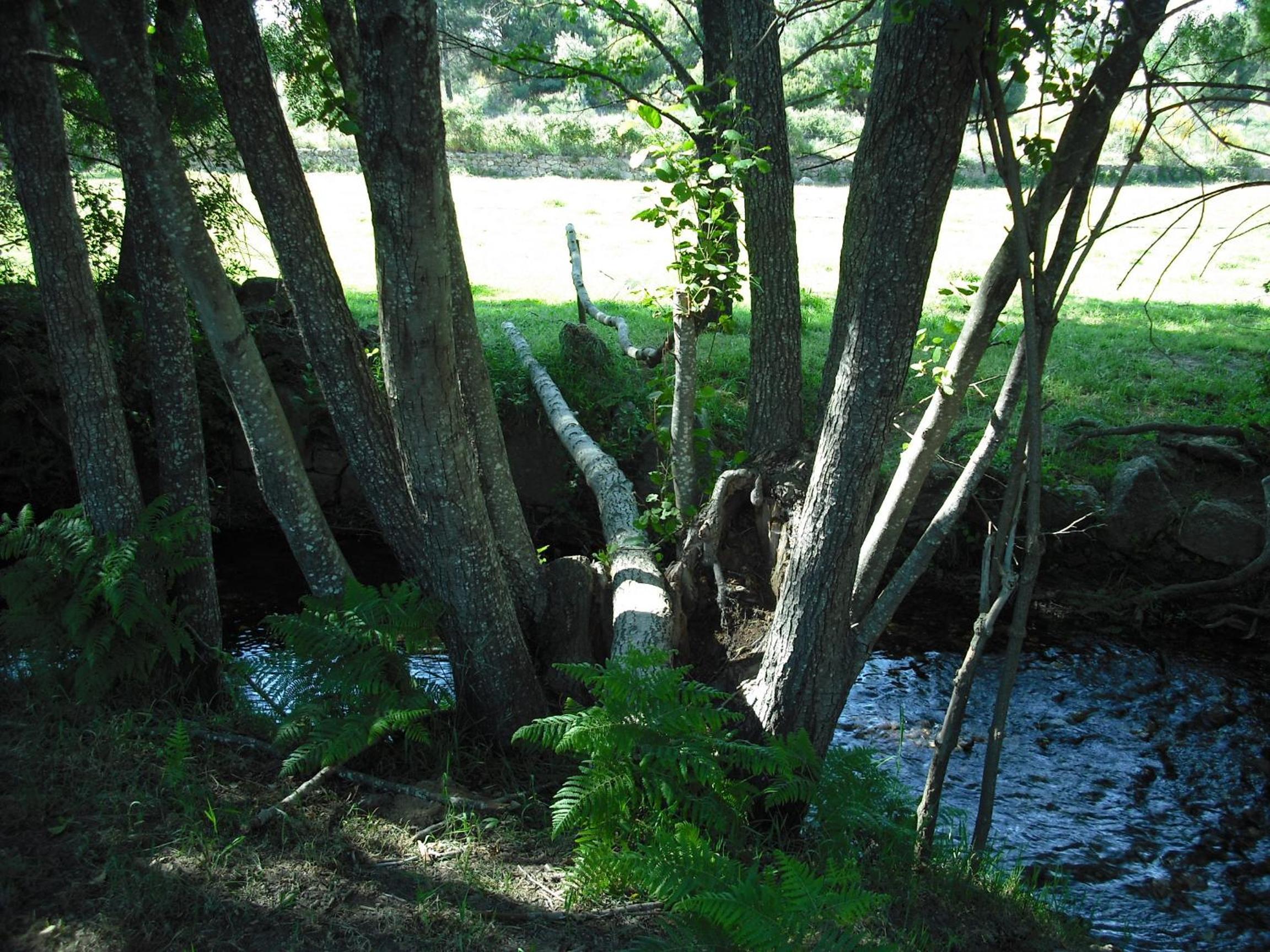Photo 49