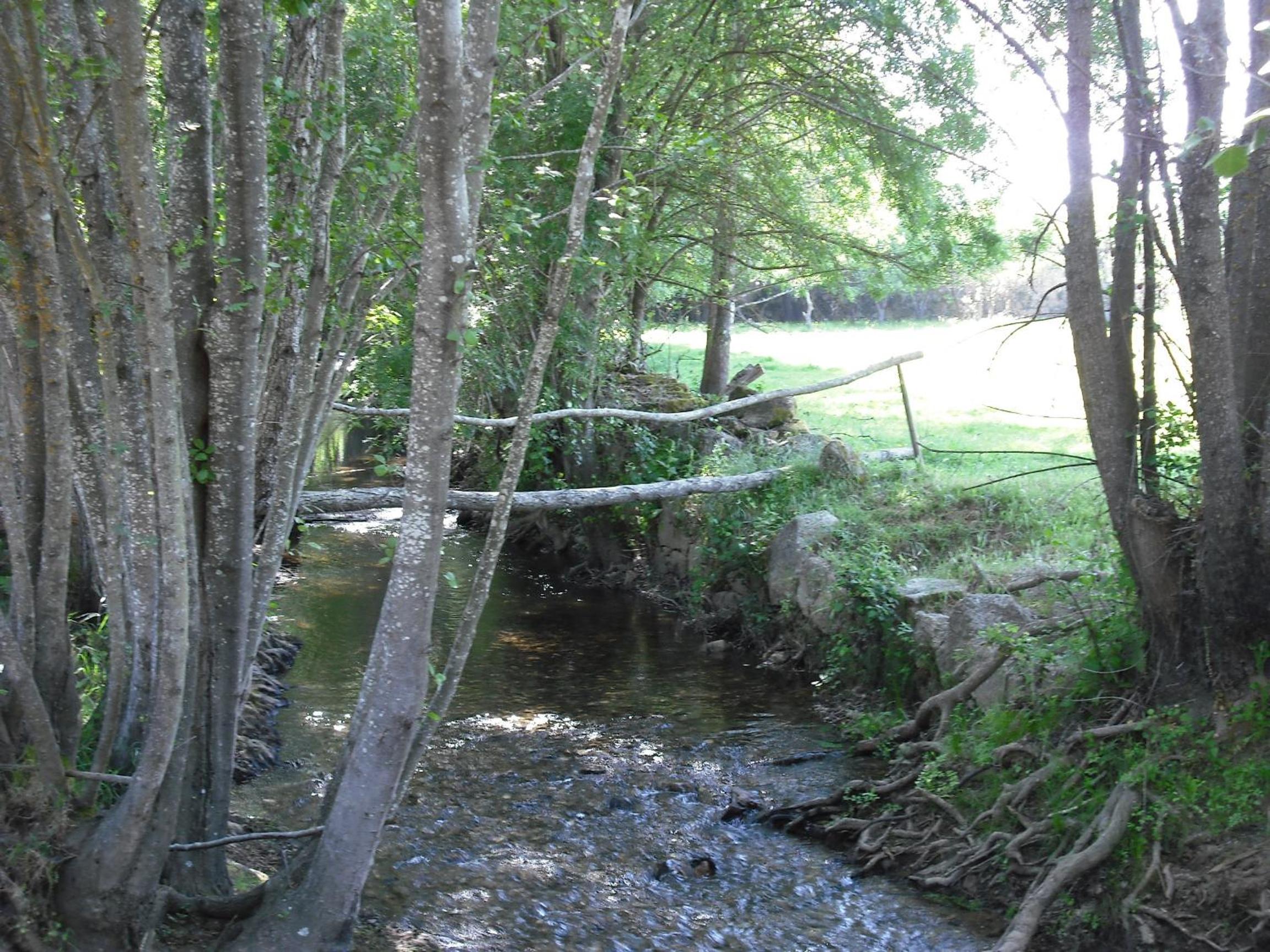 Photo 40