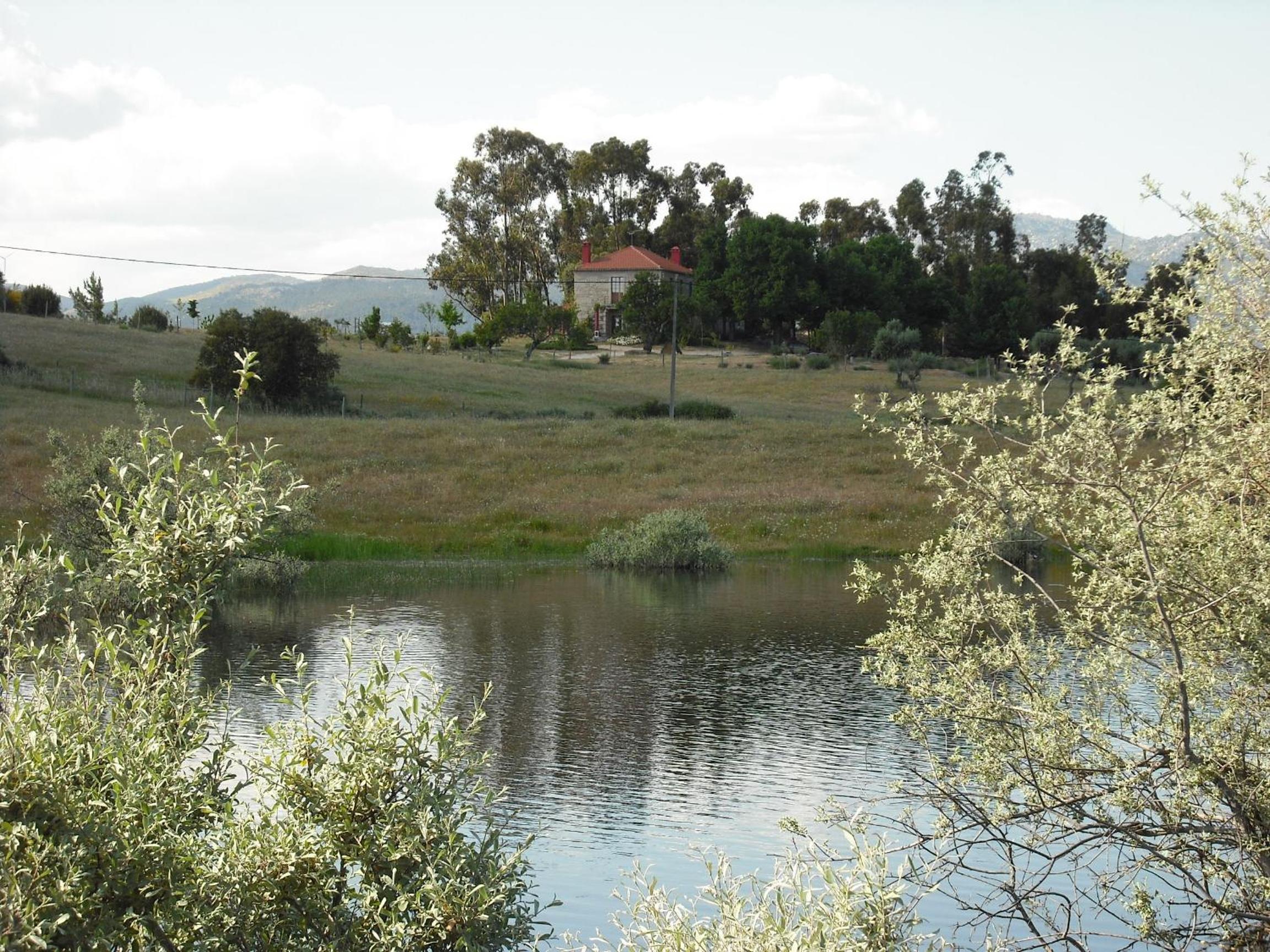 Photo 36