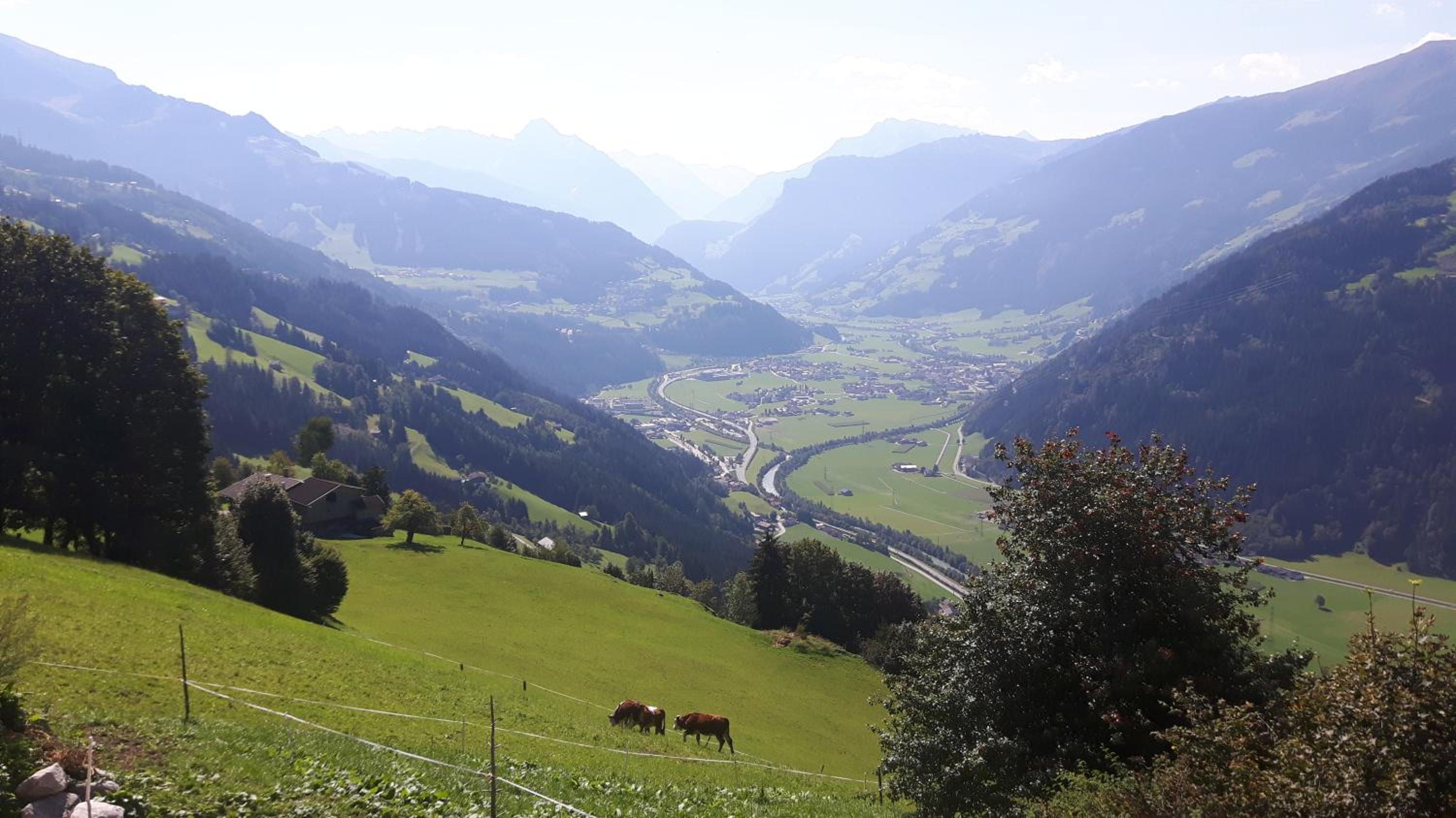 Nesterhof