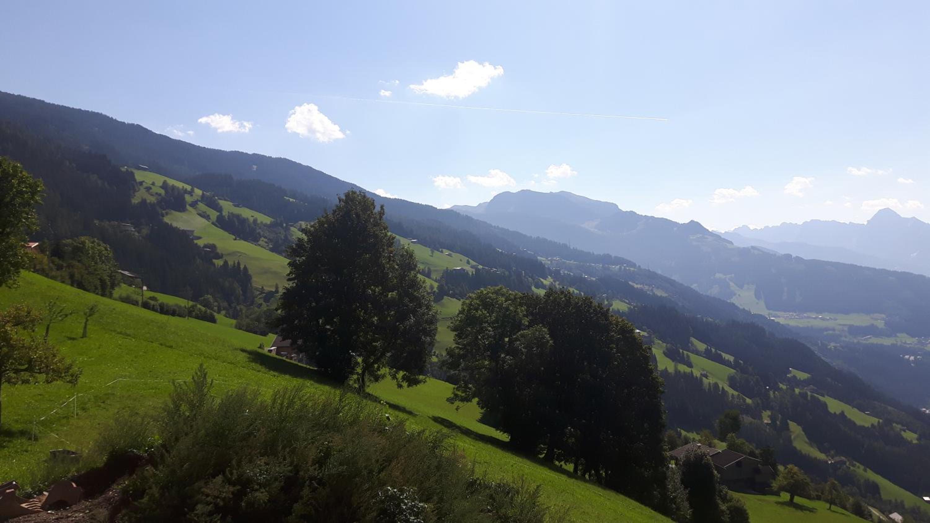 Nesterhof